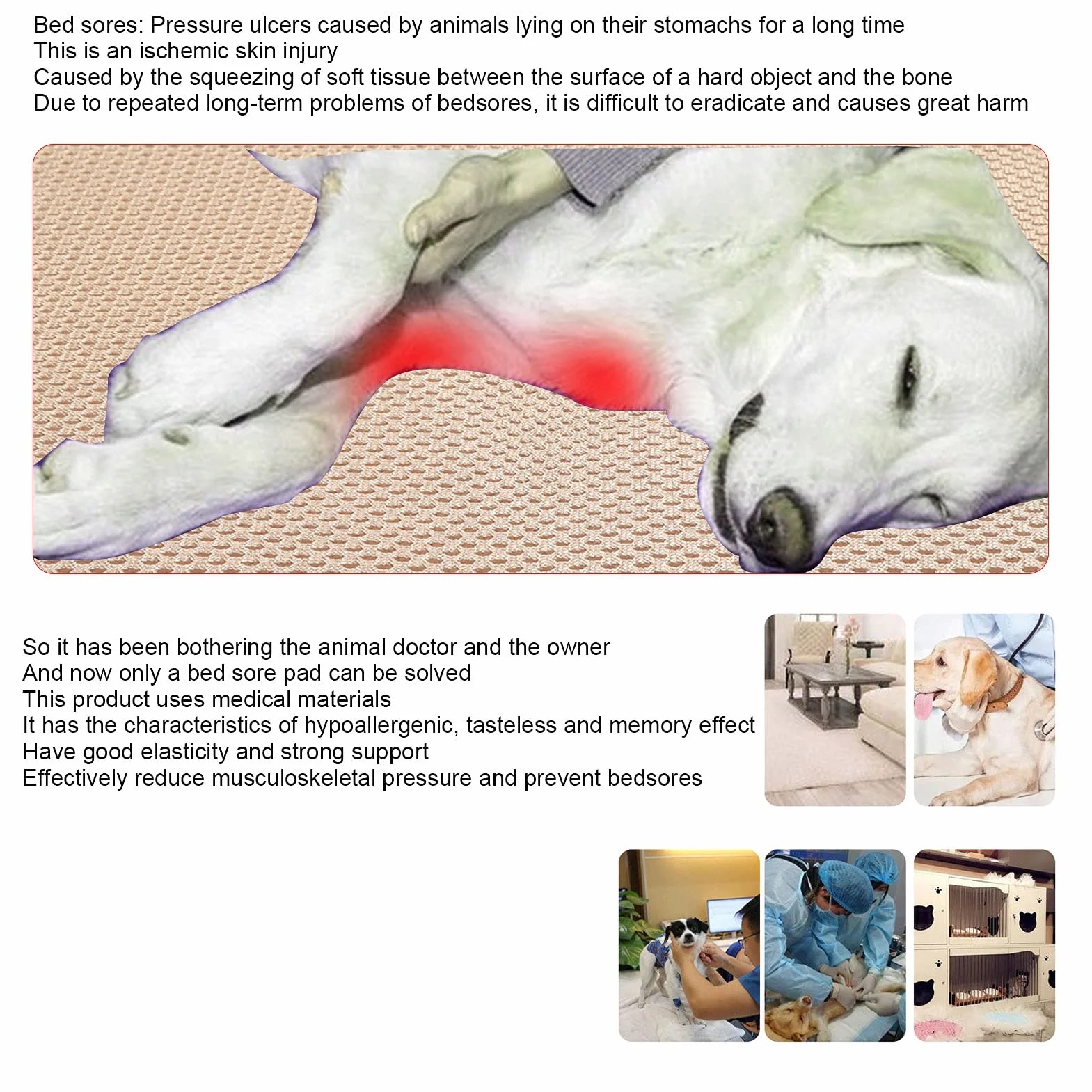 Matelas pour Animaux Confortable, Tapis Anti - Escarre Respirant, Température Constante, Taille S - Coussin Élastique, Respirabilité Optimale, Parfait pour Chien et Chat (S)