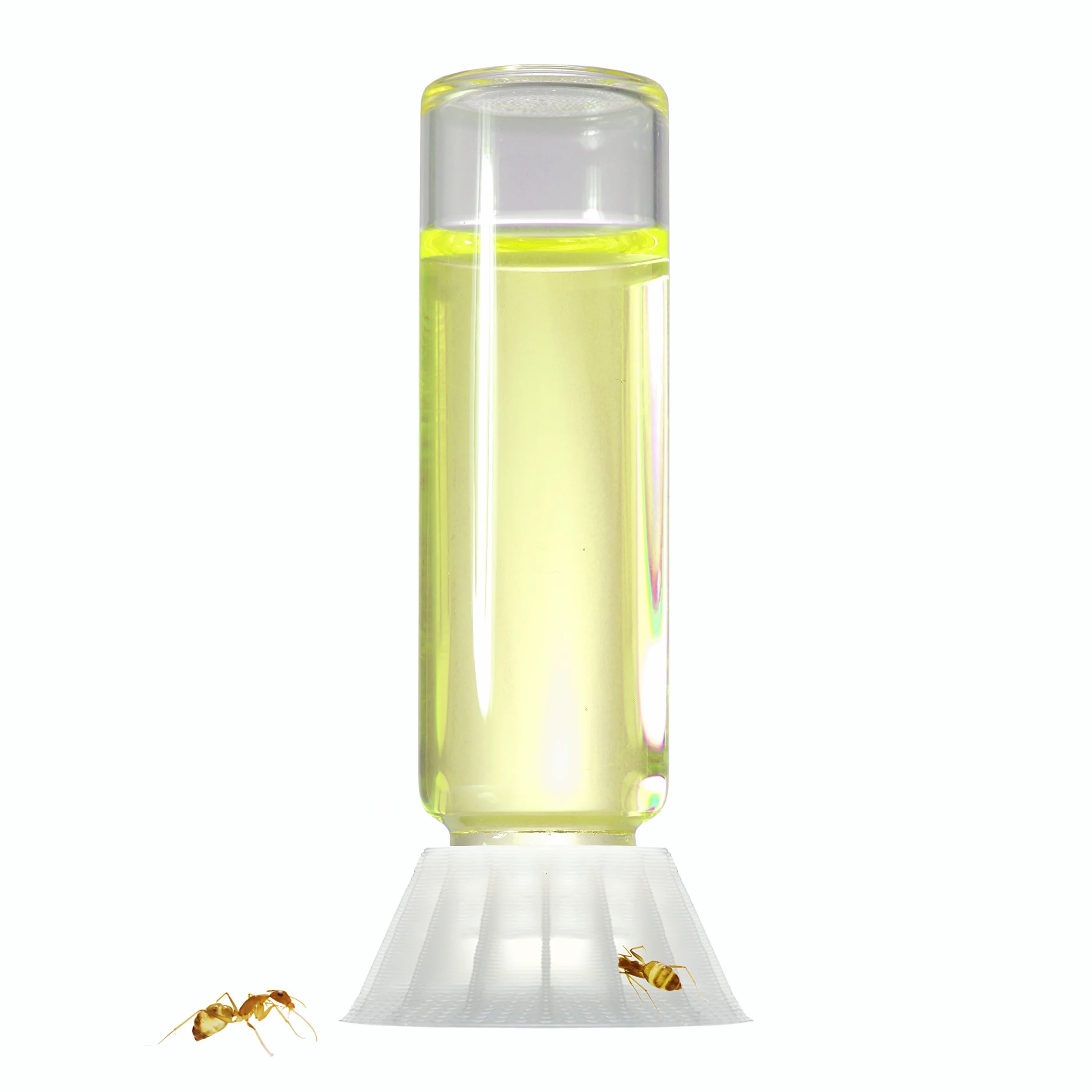 Byformica Liquide Feeder Mega 16 ML pour Fourmis Eau de Sucre Ant Nectar