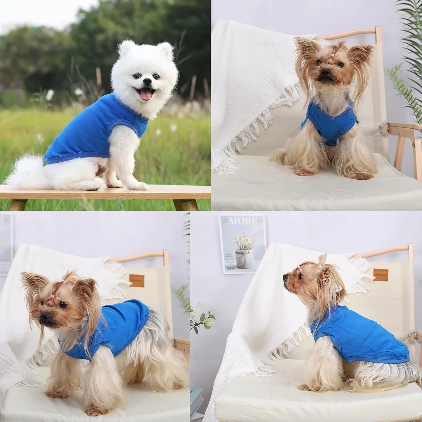 Gilet Rafraîchissant pour Chien de Refroidissement pour Petite et Moyenne Taille Bleu