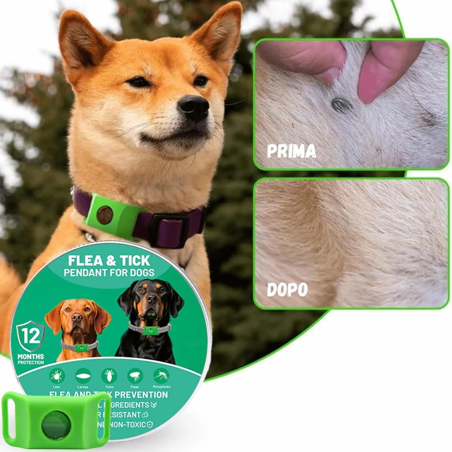 Collier Anti Puces pour Chien Réglable avec 2 Capsules Remplaçables, Étanche