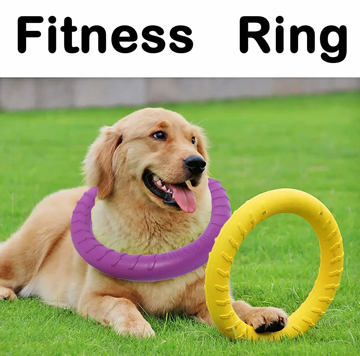 Anneau de Fitness Pour Chien, Anneau de Morsure de Chien, équipement d'exercice d'agilité pour chien, anneau d'entraînement interactif au tir à la corde pour petits et grands chiens (Jaune, Grande)