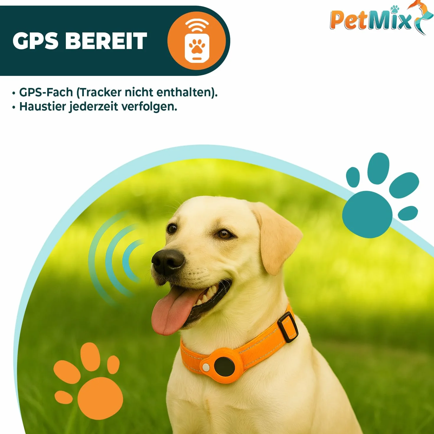 Collier GPS pour chien - Collier GPS pour petit chien - Traceur GPS pour chien - Dispositif de localisation de chien - Collier pour chien (noir, S)