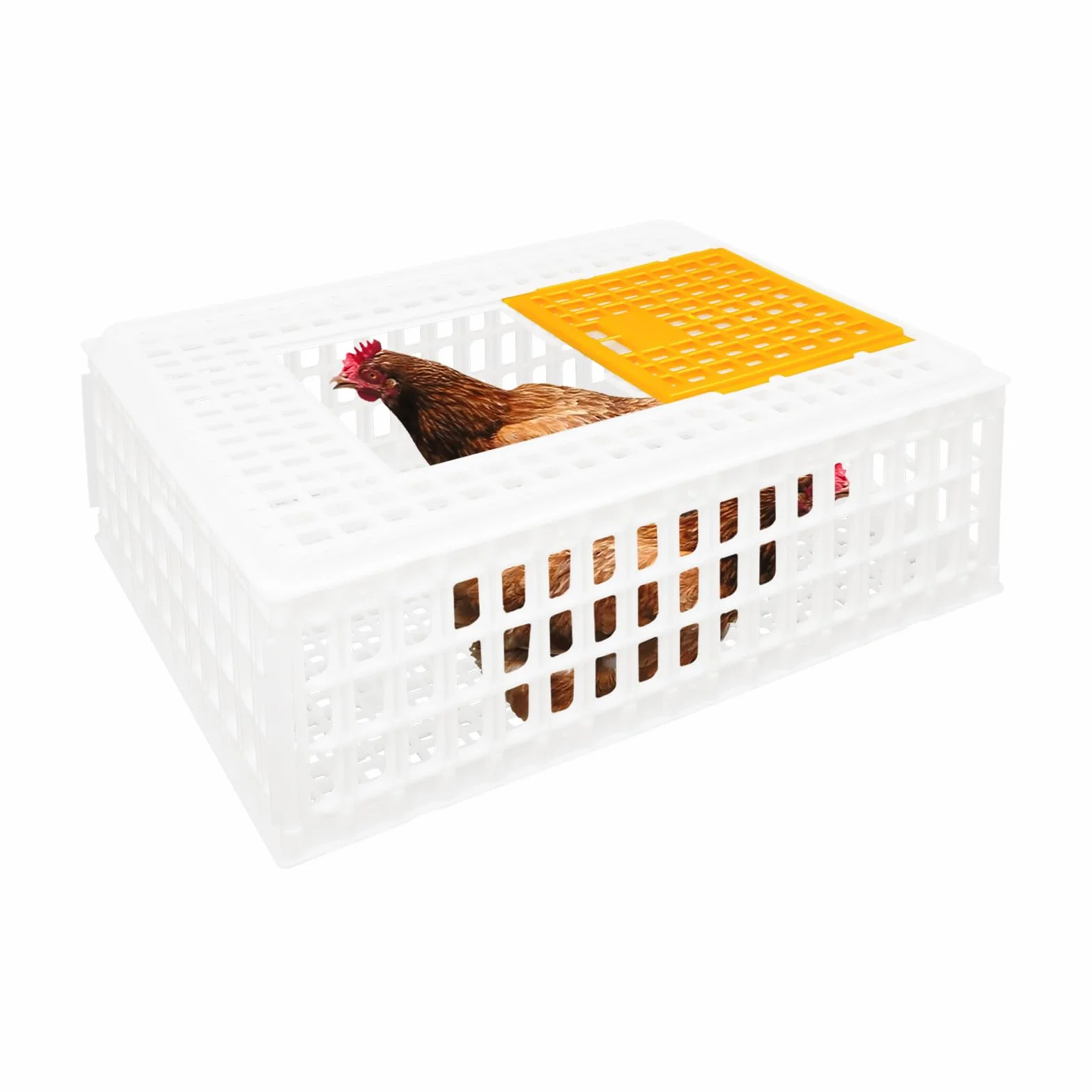 Lot de 4 caisses de transport pour volaille 77 x 55,5 x 27 cm - Capacité de charge 200 kg - Extra robuste