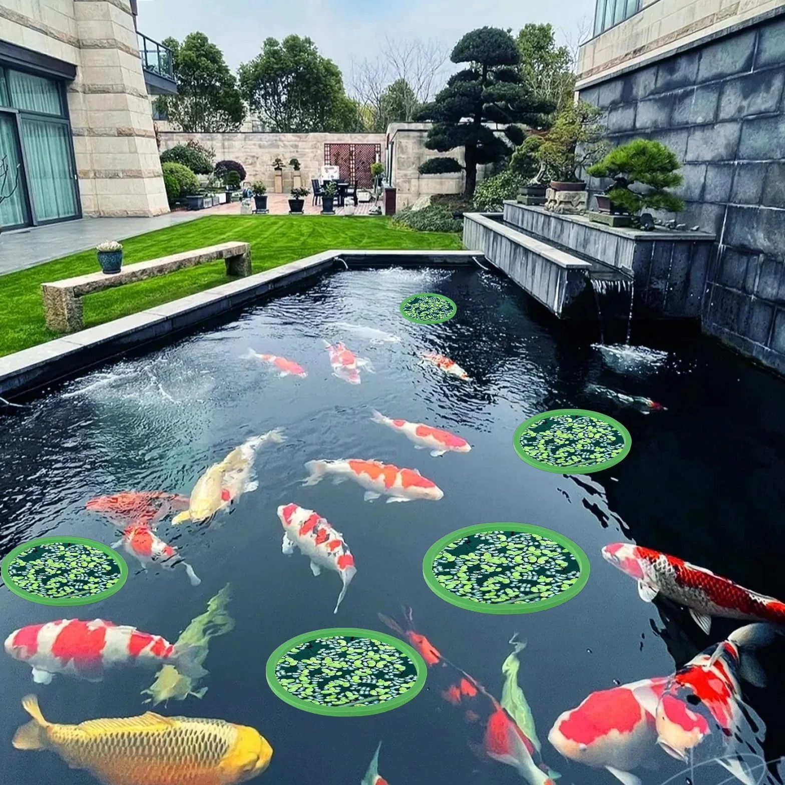 Anneau d'Alimentation Flottant Rond pour Aquarium 5 Tailles VPB 10 Pièces