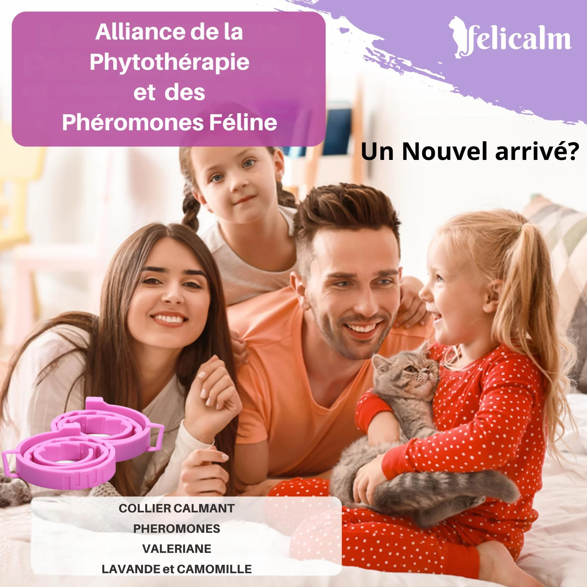 Félicalm Paris Colliers Anti-Stress Chat Chaton 2 Pièces 60 Jours Valériane Phéromone Camomille Lavande
