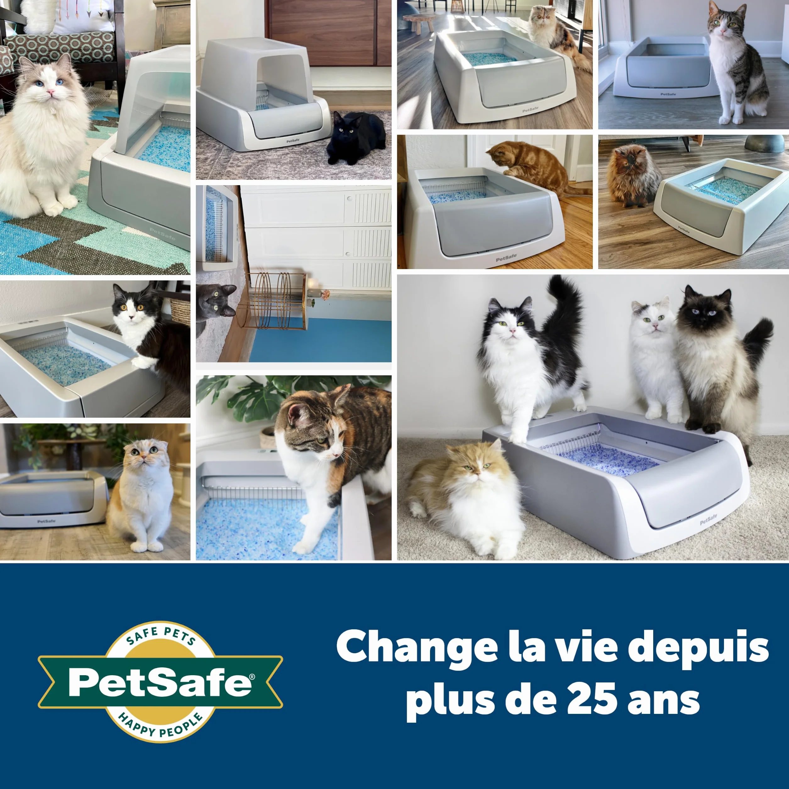 PetSafe ScoopFree Premium Litière pour Chat Non Agglomérante en Cristal - Contrôle des Odeurs, sans Poussière - Bleu Premium, Paquet De 2