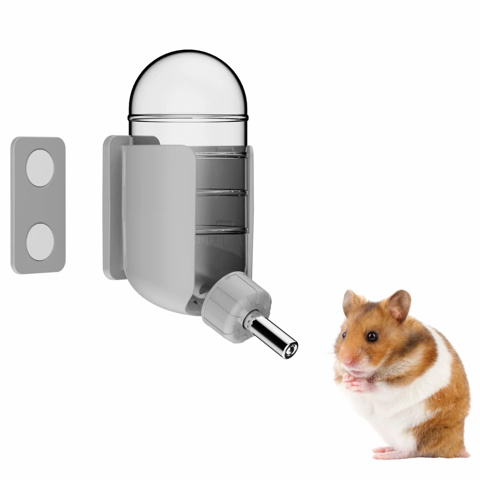 Bouteille d'eau pour Hamster avec stents magnétiques, Porte-Bouteille pour Aquariums en Verre, adaptée aux Hamsters syriens Nains, gerbilles, Souris, Rats, Degus