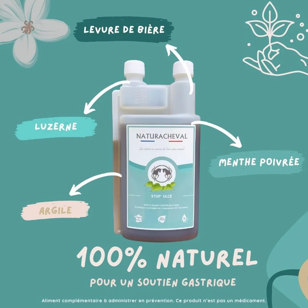 Ulcère Cheval & estomac – Complément Naturel Anti acidité gastrique – Protège muqueuses & apaise douleurs – Digestion Sensible – Formule Plantes