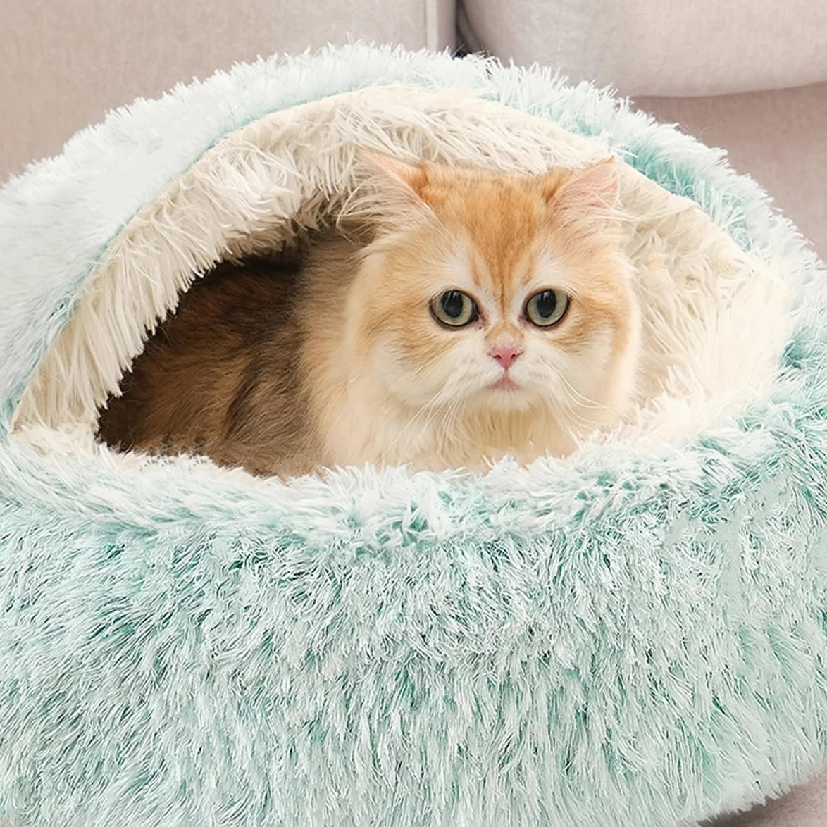 Grotte apaisante pour chat, chien et chaton en peluche moelleuse - Sac de couchage chaud en forme de tente, igloo d'intérieur chaud (vert, 80 cm)