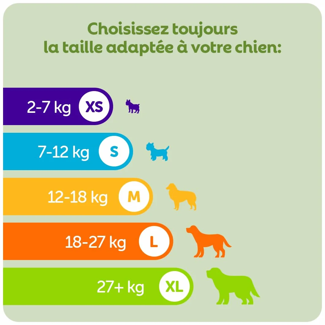 WHIMZEES Hérisson L, 6 Pièces – Friandises Naturelles pour Grands Chiens