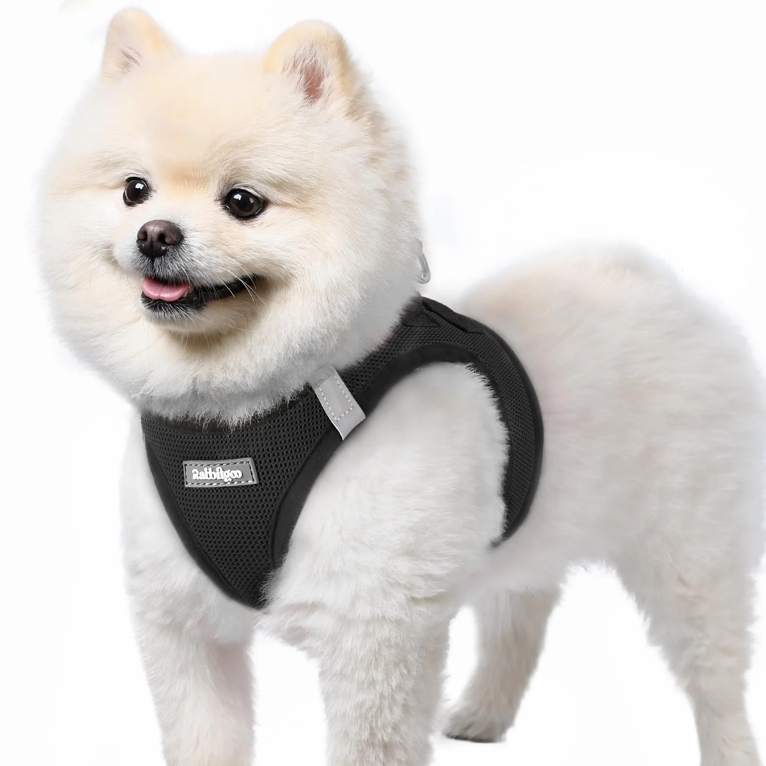 Rabbitgoo Harnais Chien Petite Taille Noir S, Harnais Respirant en Maille Souple Réfléchissant pour Petit Chien Marche Course