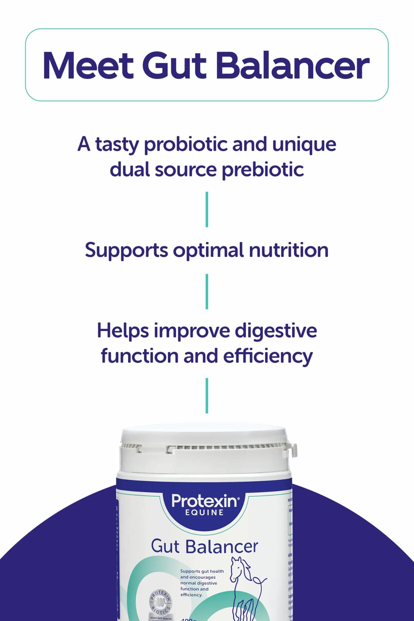 Protexin Equine Premium Gut Balancer 700g