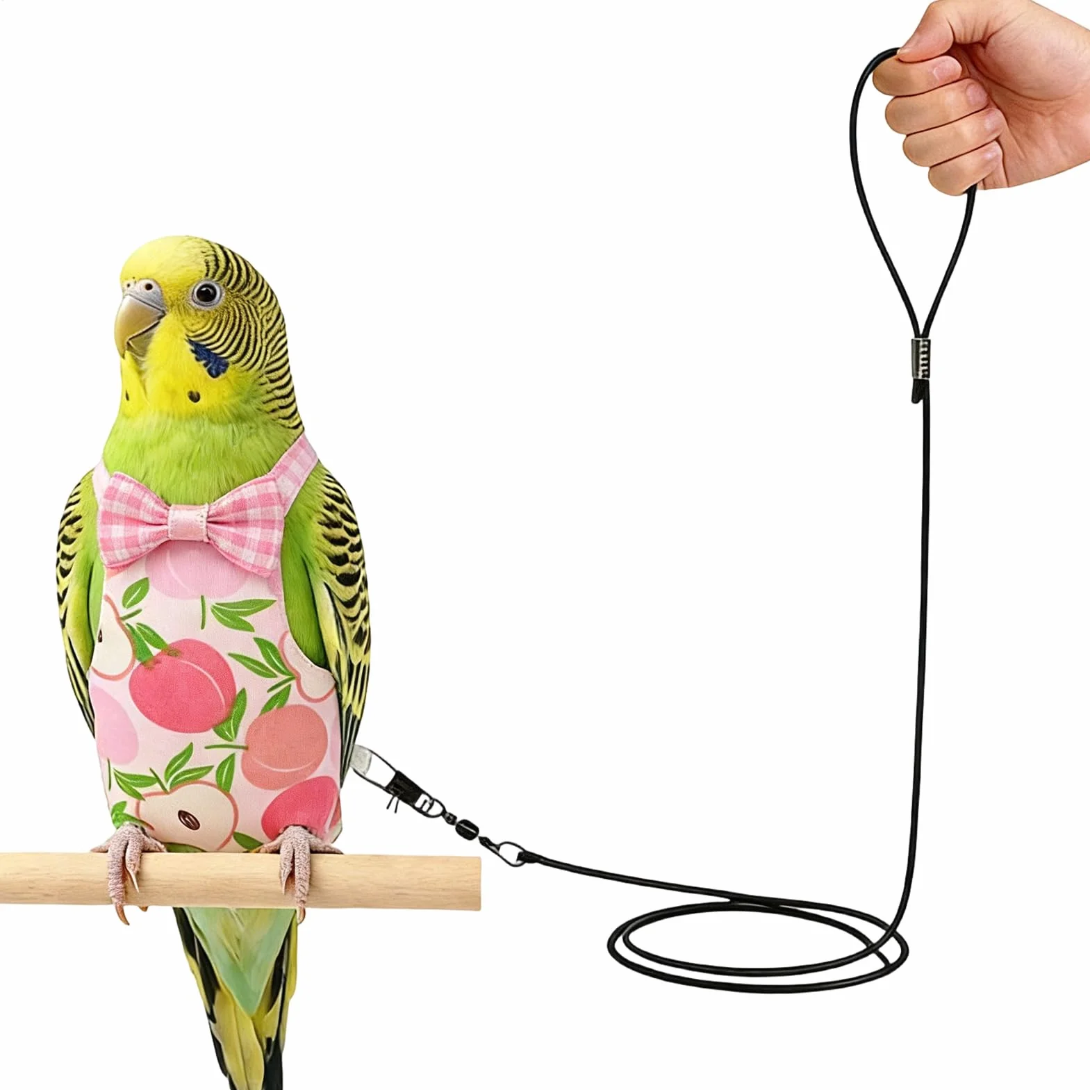 Couches à oiseaux pour animaux de compagnie, réutilisables et lavables, avec corde pour l'entraînement au vol des oiseaux, pour aras, perruches, inséparables, calopsittes et calopsittes
