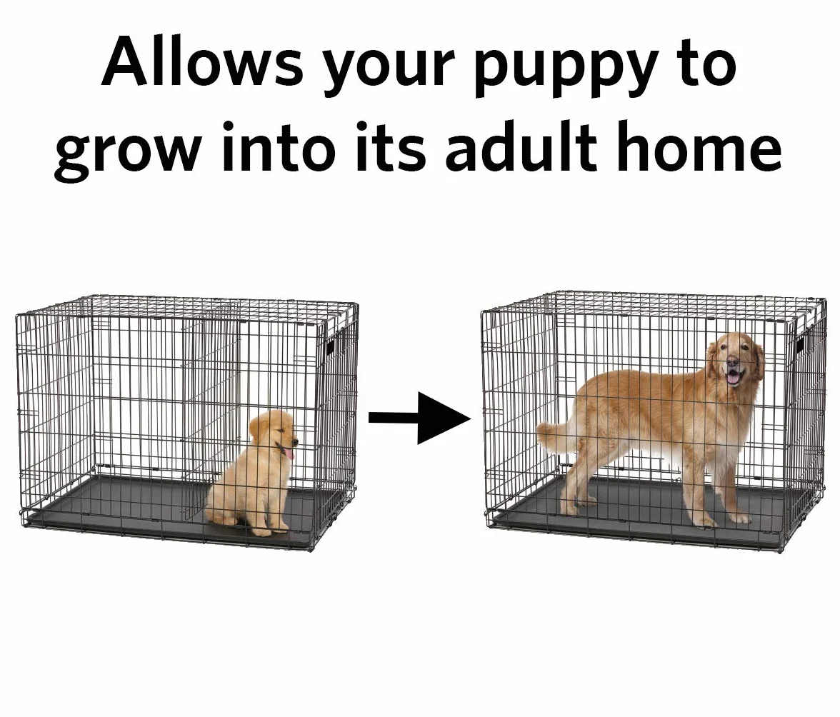 MidWest Homes for Pets Panneau de séparation pour cage de chien 91,44 cm Modèle 06DP Noir