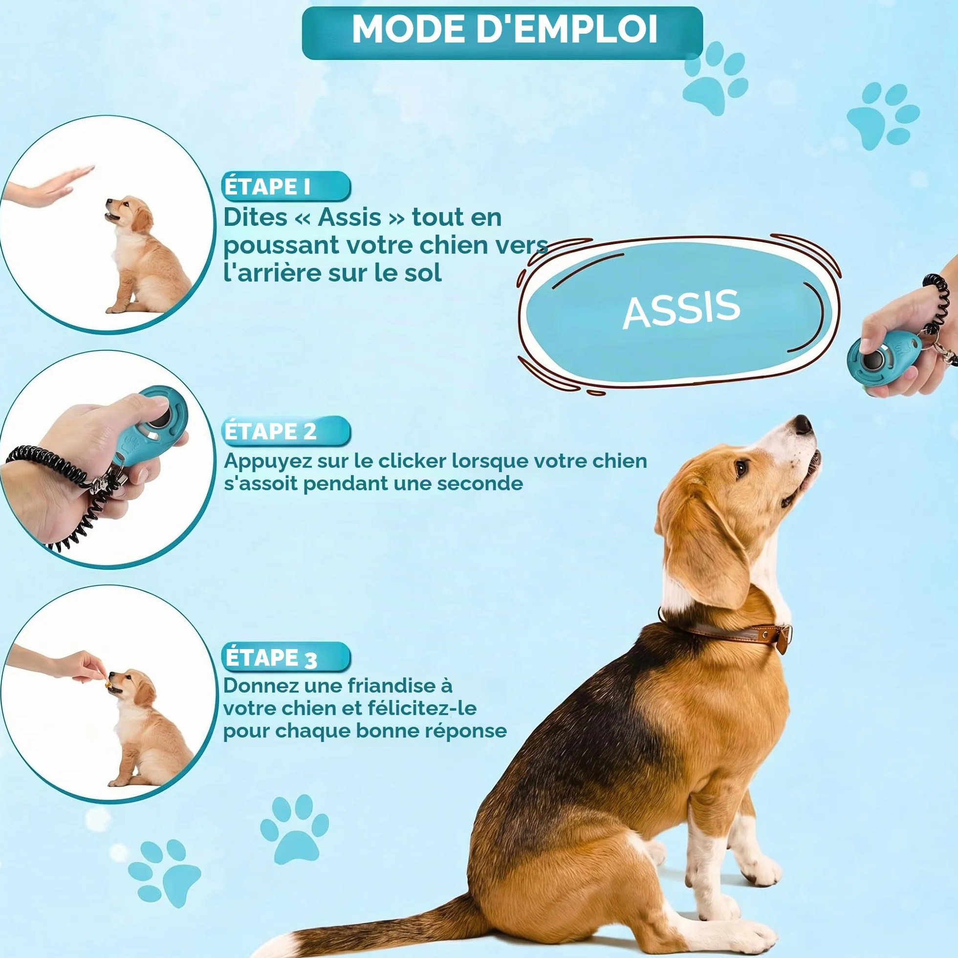Clicker de Dressage pour Animaux de Compagnie avec dragonne – Clicker de Dressage pour Chien (Nouveau Noir + Bleu)