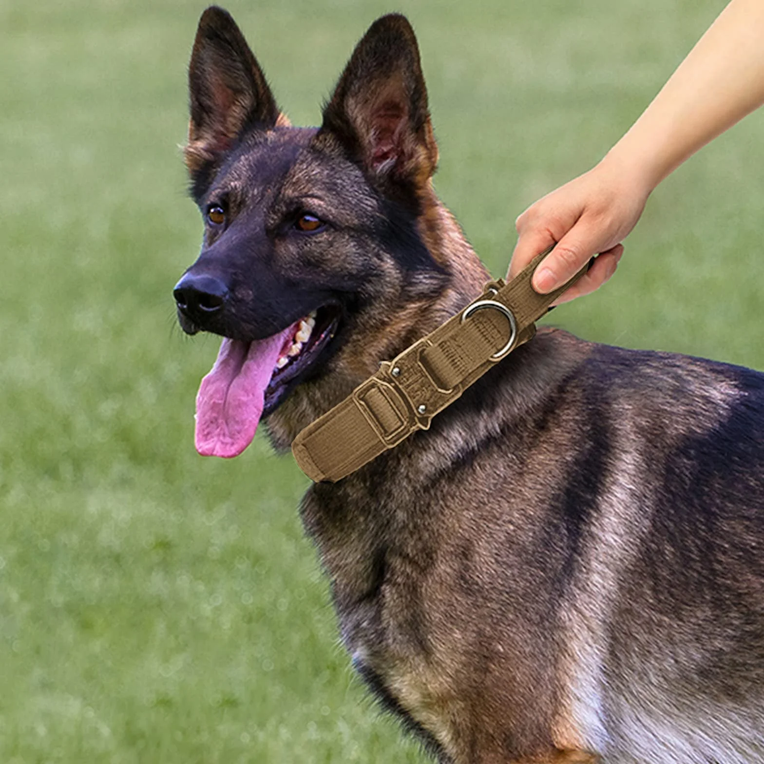 Tactique Collier et Laisse pour Chien réglable Nylon Militaire Boucle Métal Robuste Laisse élastique Dressage Taille XL Kaki