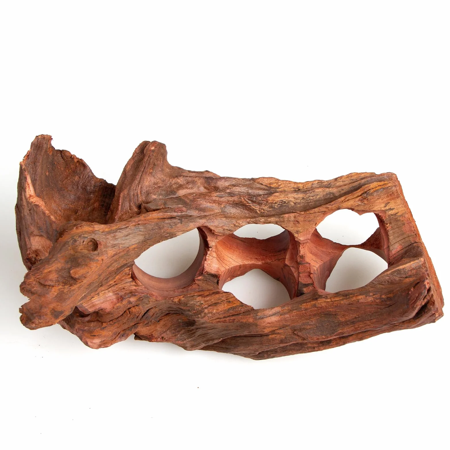 Bois flotté poreux naturel pour aquarium aquascaping avec trous tunnels cachettes