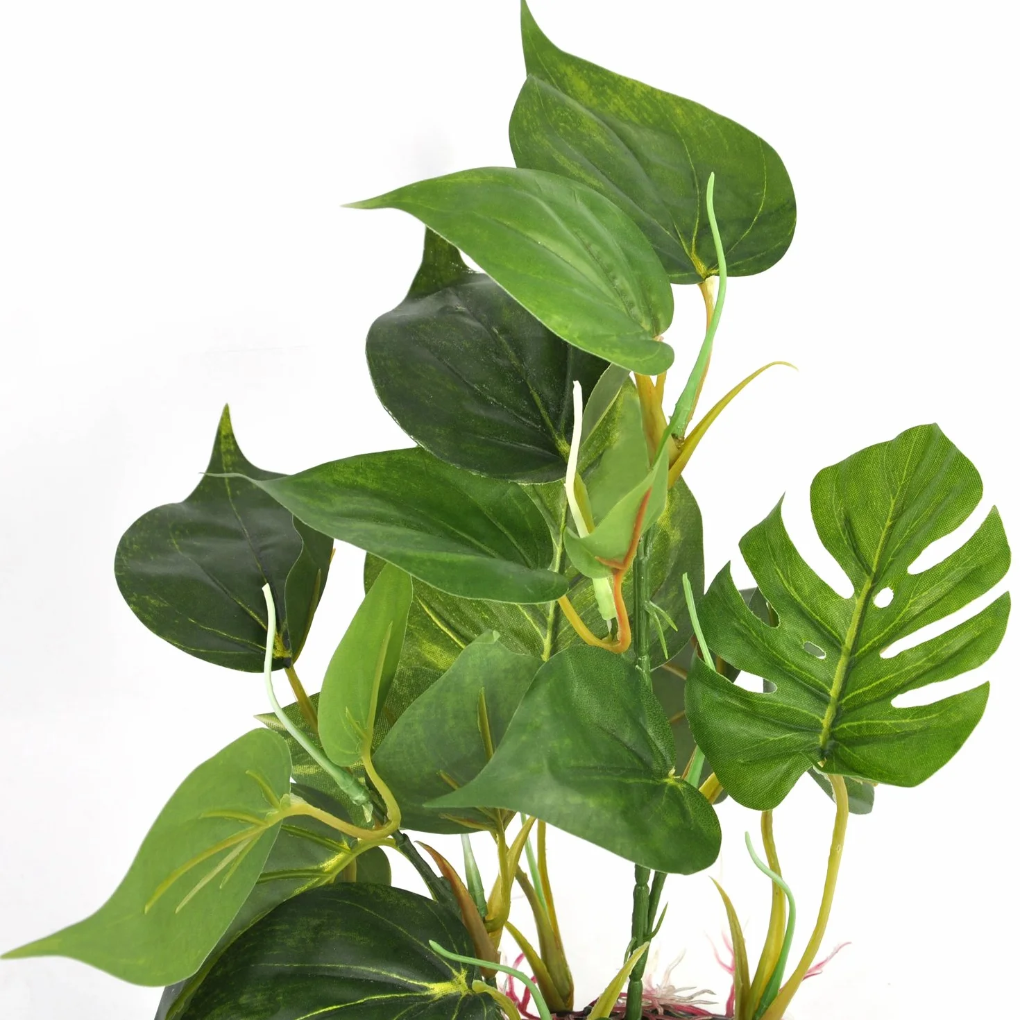 DIGIFLEX Plante d'aquarium artificielle 30 cm aspect réaliste Ornement aquarium feuilles vertes