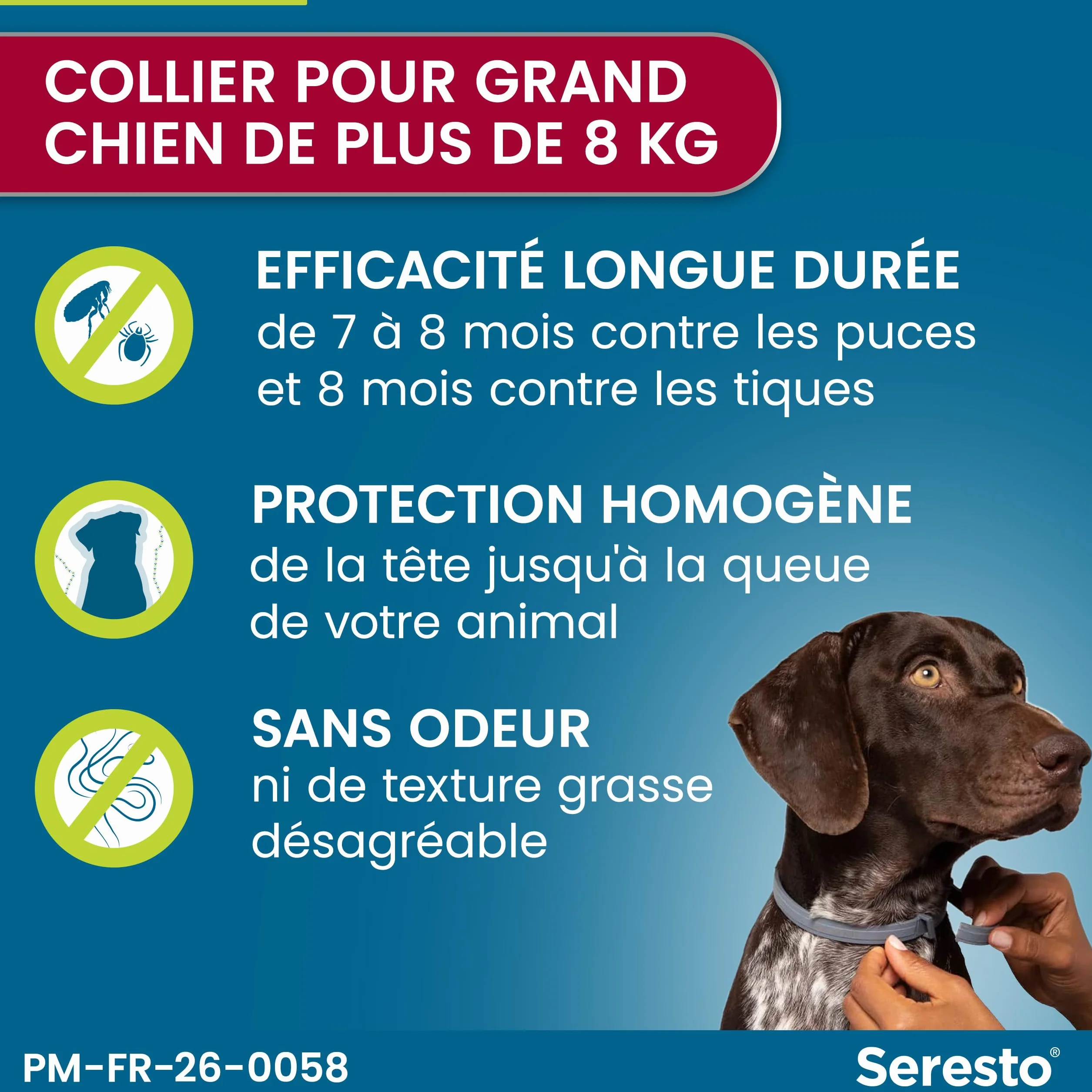 Seresto Collier Grands Chiens – 2 Protections anti puces et anti tiques pour grands chiens de plus de 8 kg – Collier Seresto pour chien 7 à 8 mois de protection, réduit le risque de leishmaniose –Gris