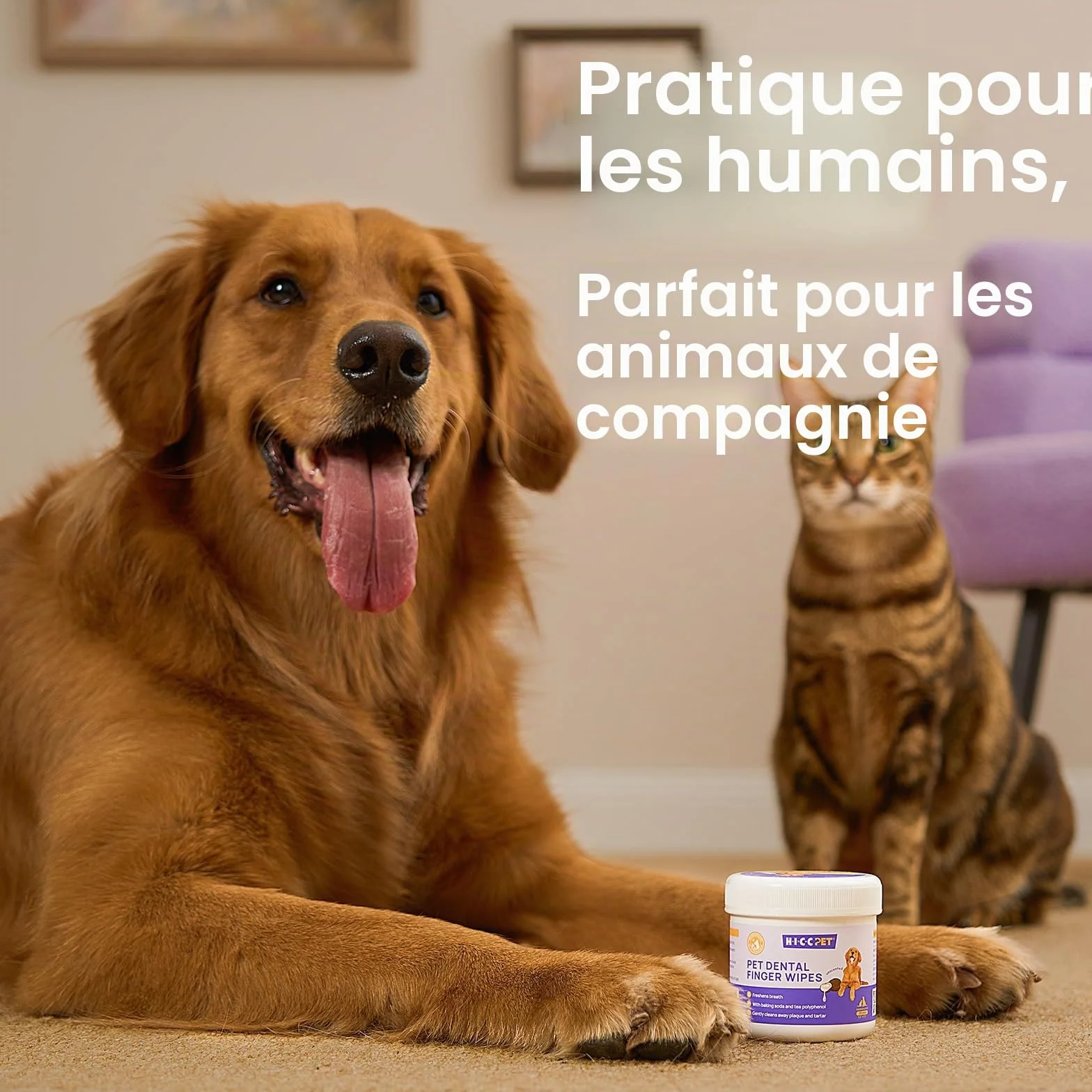 HICC PET Serviettes de nettoyage des dents pour chiens et chats, Enlevez la mauvaise haleine, Brosse à dents à doigts sans rinçage (Minte)