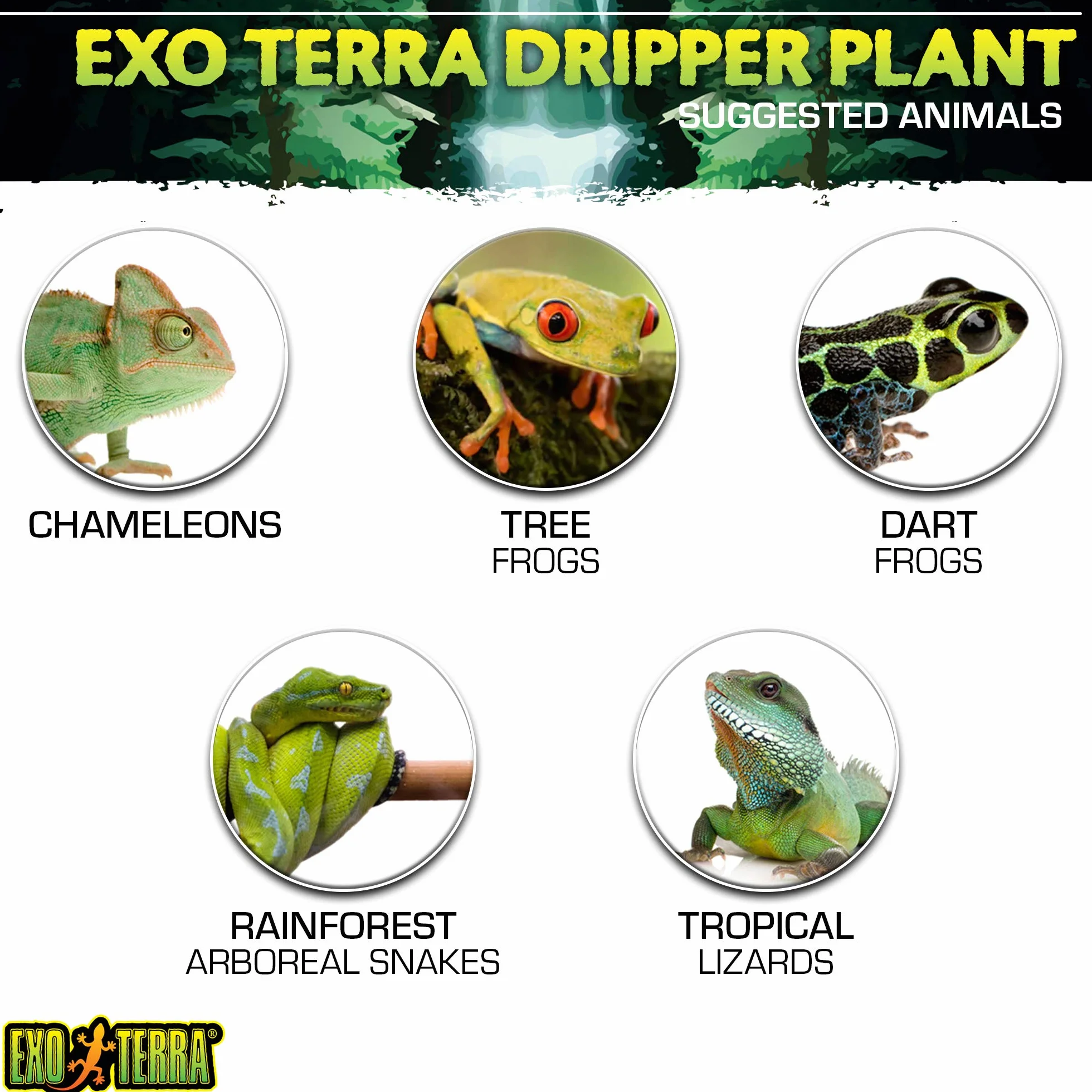 Exo Terra Water Dripper Plante de Décoration pour Reptile/Amphibien Taille L