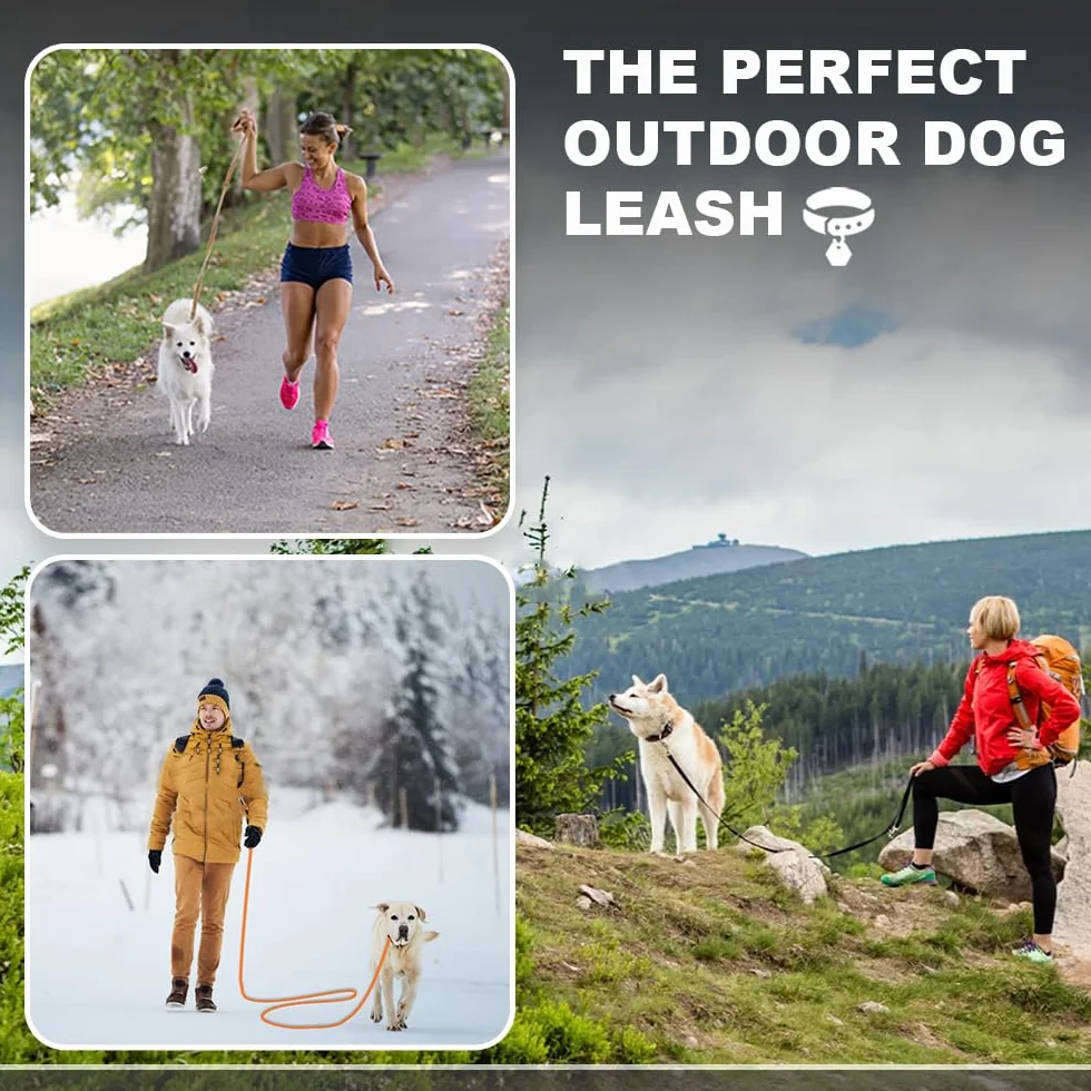 Longe pour Chien avec Poignée et Sac de Rangement, Laisses de Dressage étanches 1.5m-15m Robuste