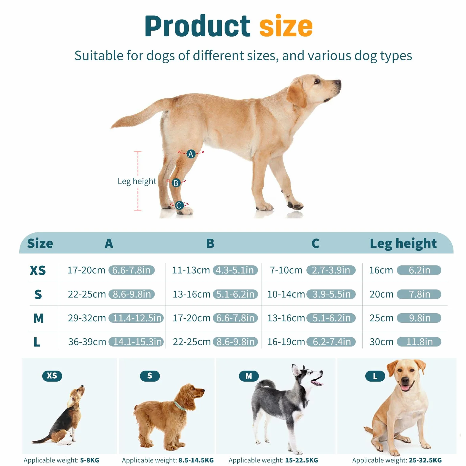 PETCUTE Genouillères Réfléchissantes Ajustables pour Chien - Support Articulaire Antichoc LCA/CCL, Protège-Coude XS Bleu