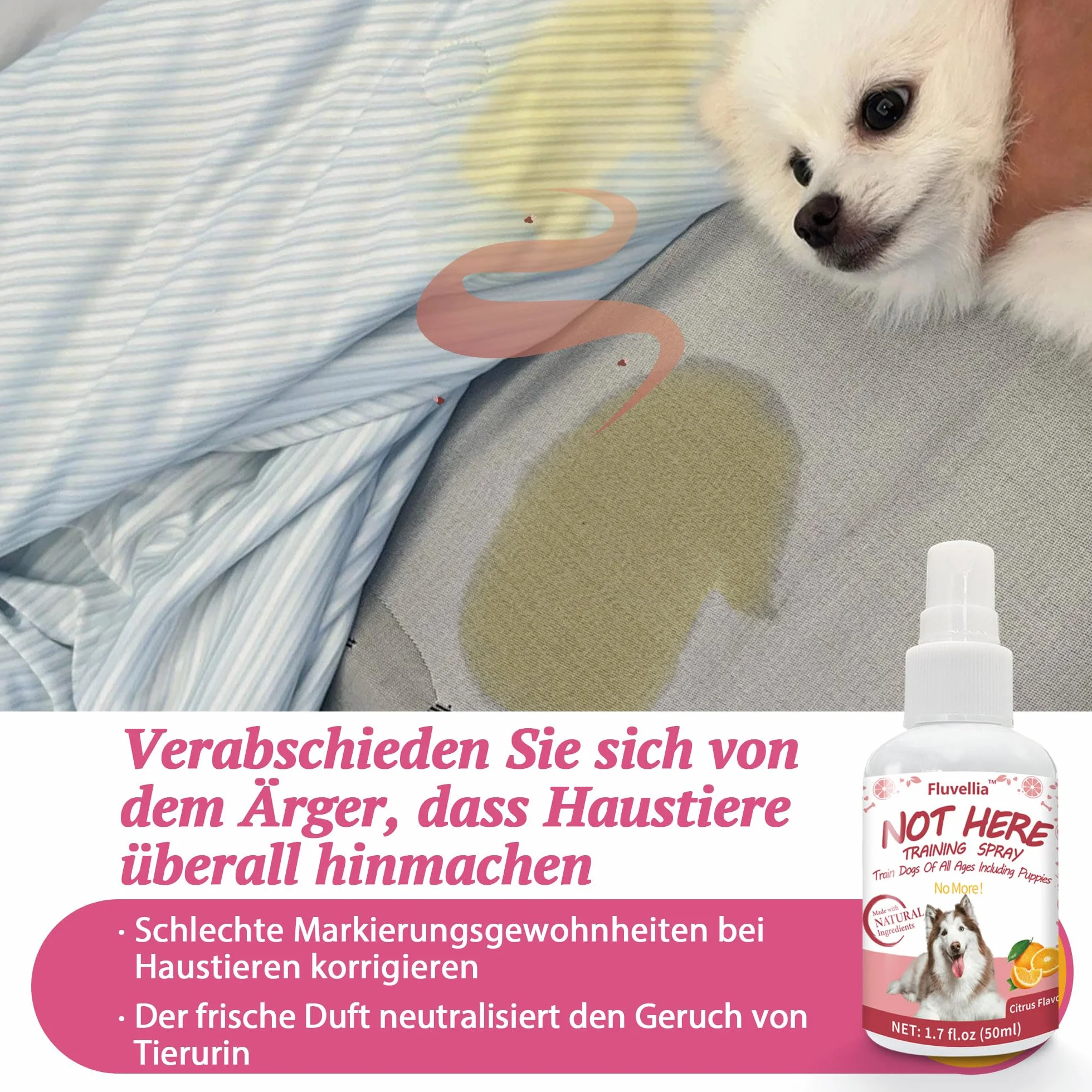 Lot de 2 sprays d'entraînement pour chien Not Here et Here Potty - 50 ml - Ingrédients naturels - Arôme d'agrumes et de menthe
