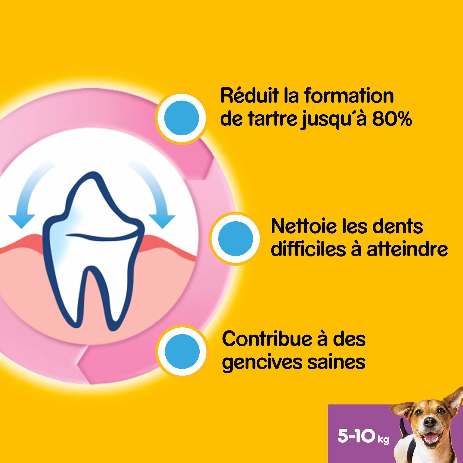 Pedigree Dentastix Friandises pour petit chien 56 bâtonnets hygiène bucco-dentaire 880 g