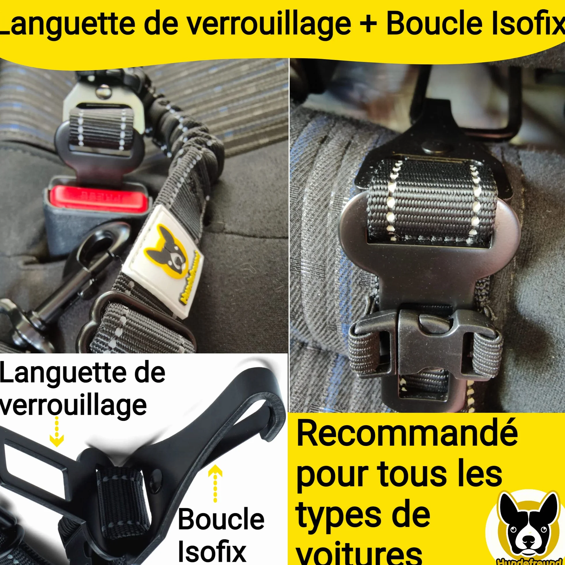 Hundefreund Ceinture de Sécurité pour Chien Voiture Extrêmement Sûre - Ceinture Chien Voiture Réglable avec Amortisseur pour Tous Les Types de Voitures et Toutes Les Races de Chiens