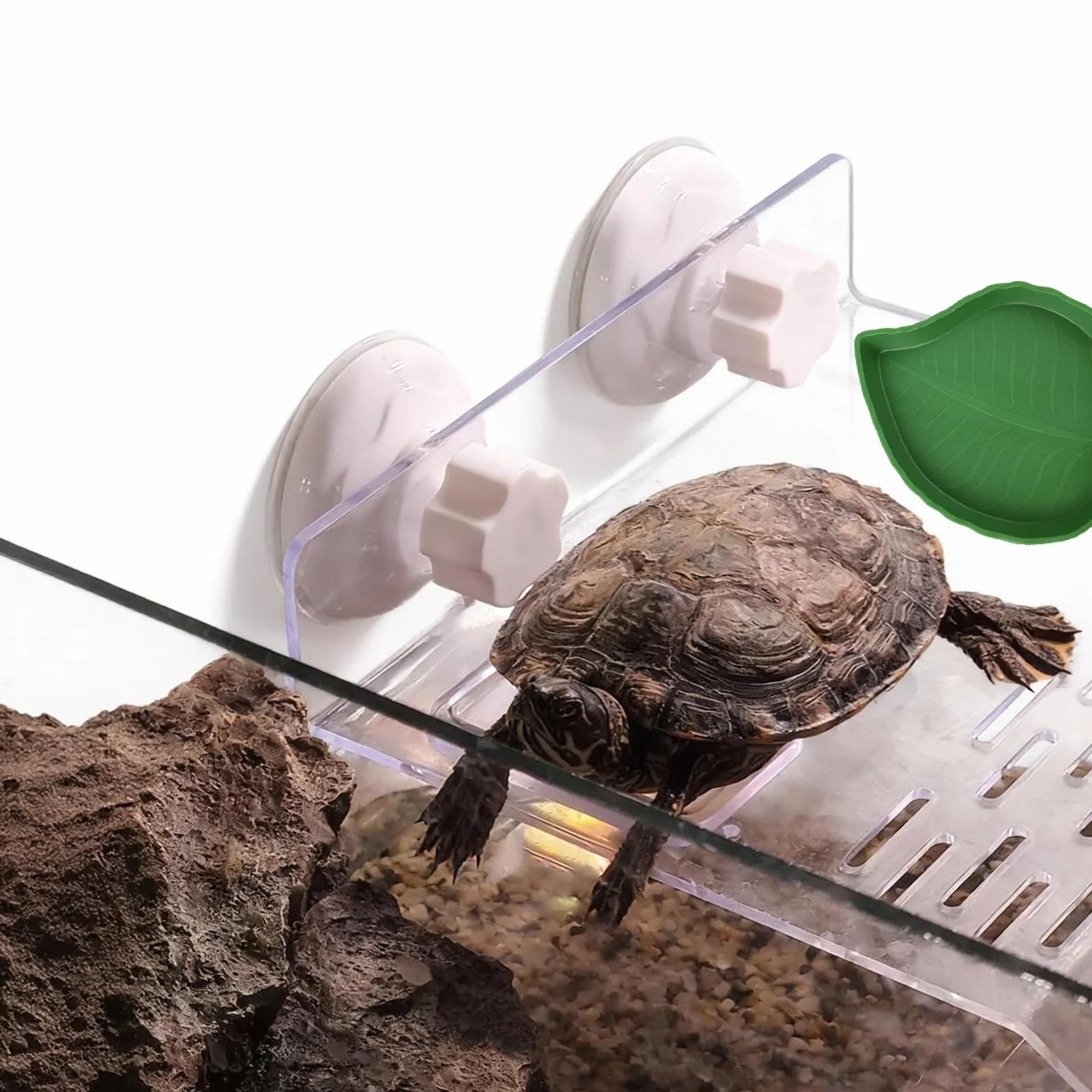 Plateforme pour Tortue, Gamelle Reptiles en Feuilles, Bol Nourriture pour Petits Reptiles