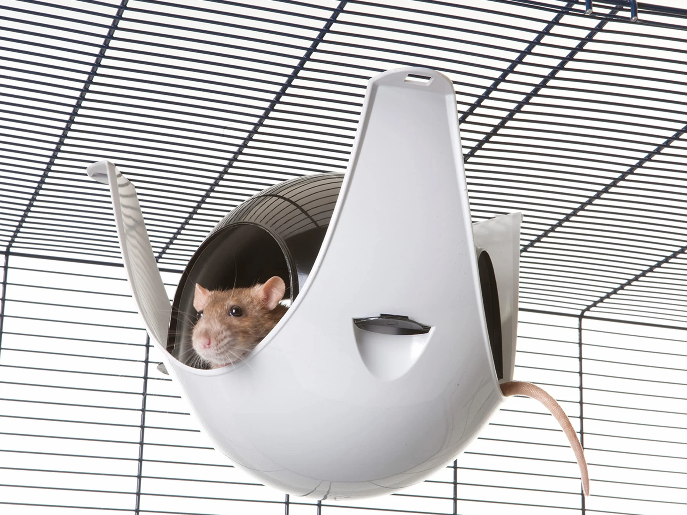 Savic Maisonnette pour Petits Animaux Plastique Sputnik Coloris aléatoire - XL