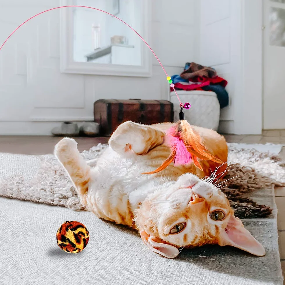 Jouets Chat Interactif 16 pièces Souris Balles Baguettes de Plumes pour Kitty
