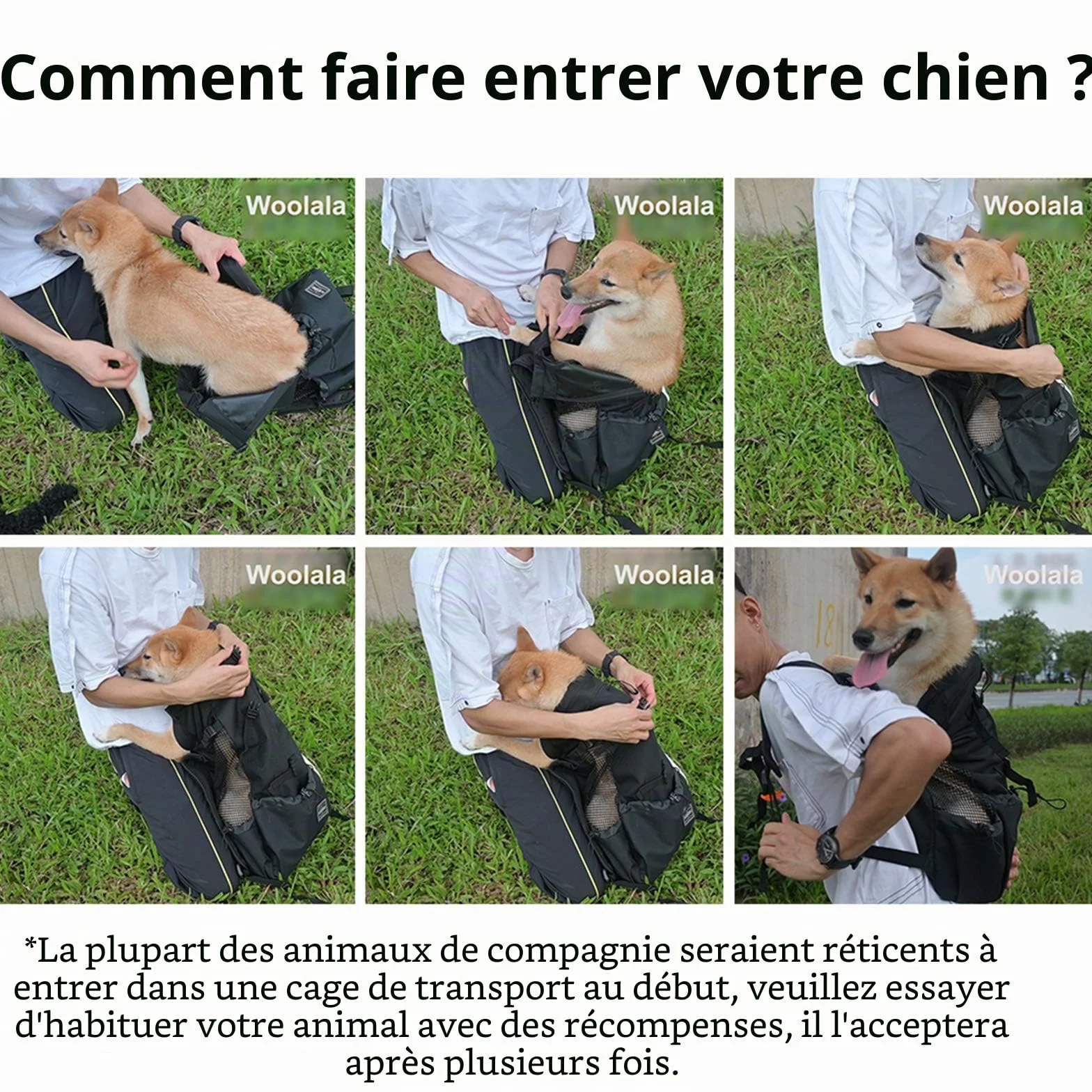 Sac à dos pour chien Woolala, approuvé par les vétérinaires, léger pour petit chien