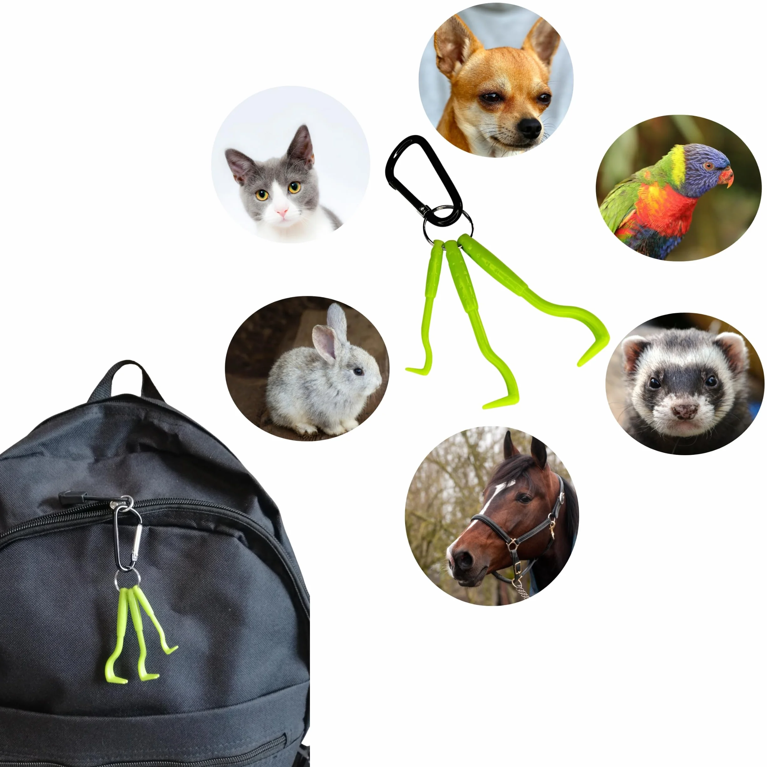 Tire Tique Pince à tique crochets anti tiques acier inoxydable pour chat chien humain Kit de 6 pièces