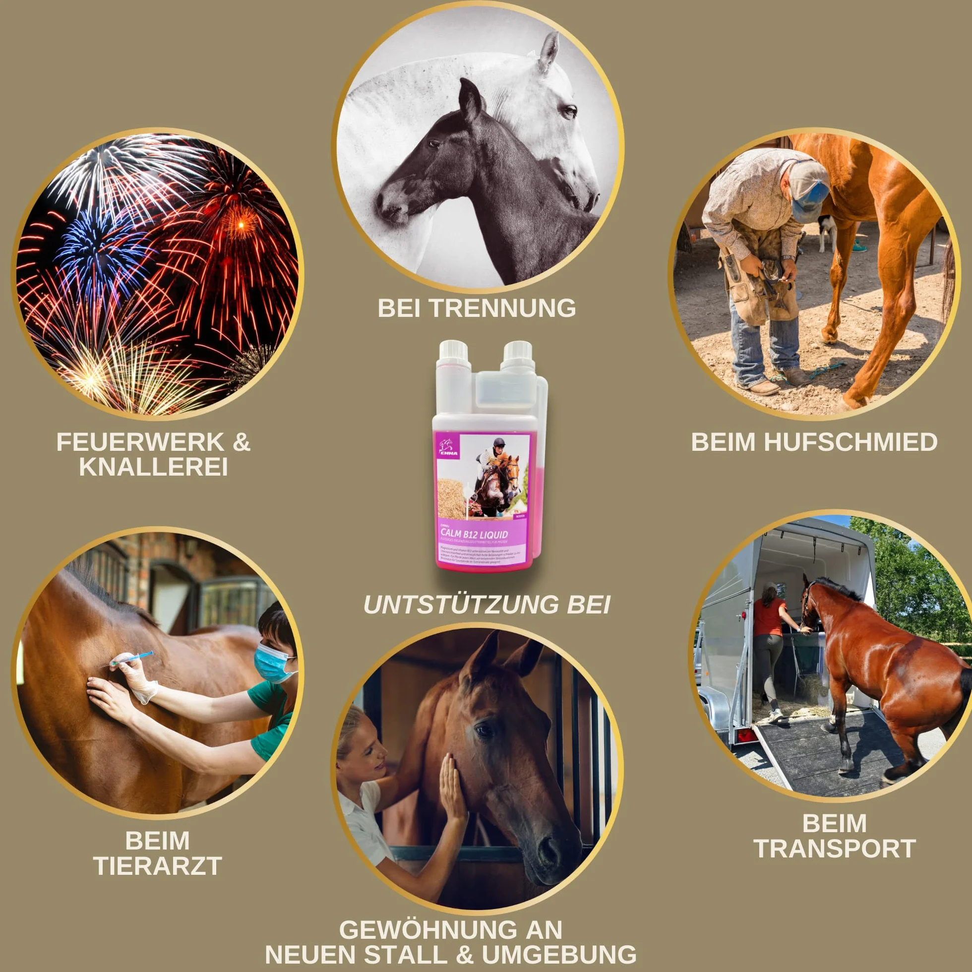 Magnésium Cheval Vitamine B12 I Calm I Anti-Stress pour Calmer Les nerfs L tryptophane Liquide I VIT B 12 pour l'anxiété Relax I pour Le Transport I soutient la sérénité Cheval nerveux Haute Dose 1L