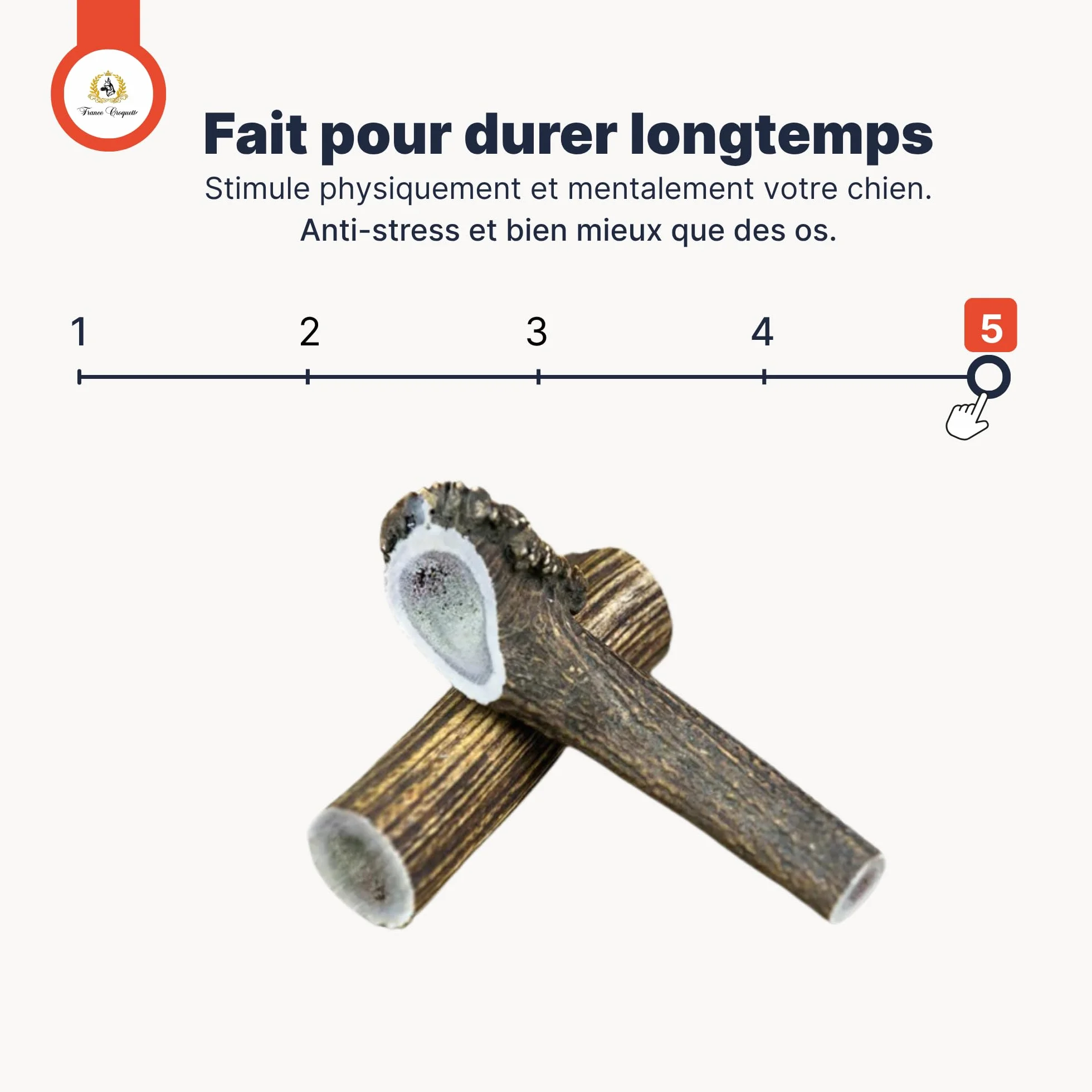 Bois de Cerf XXL Entier 200-300 g pour Chien Moins de 50 kg, Friandise Naturelle à Mâcher Longue Durée