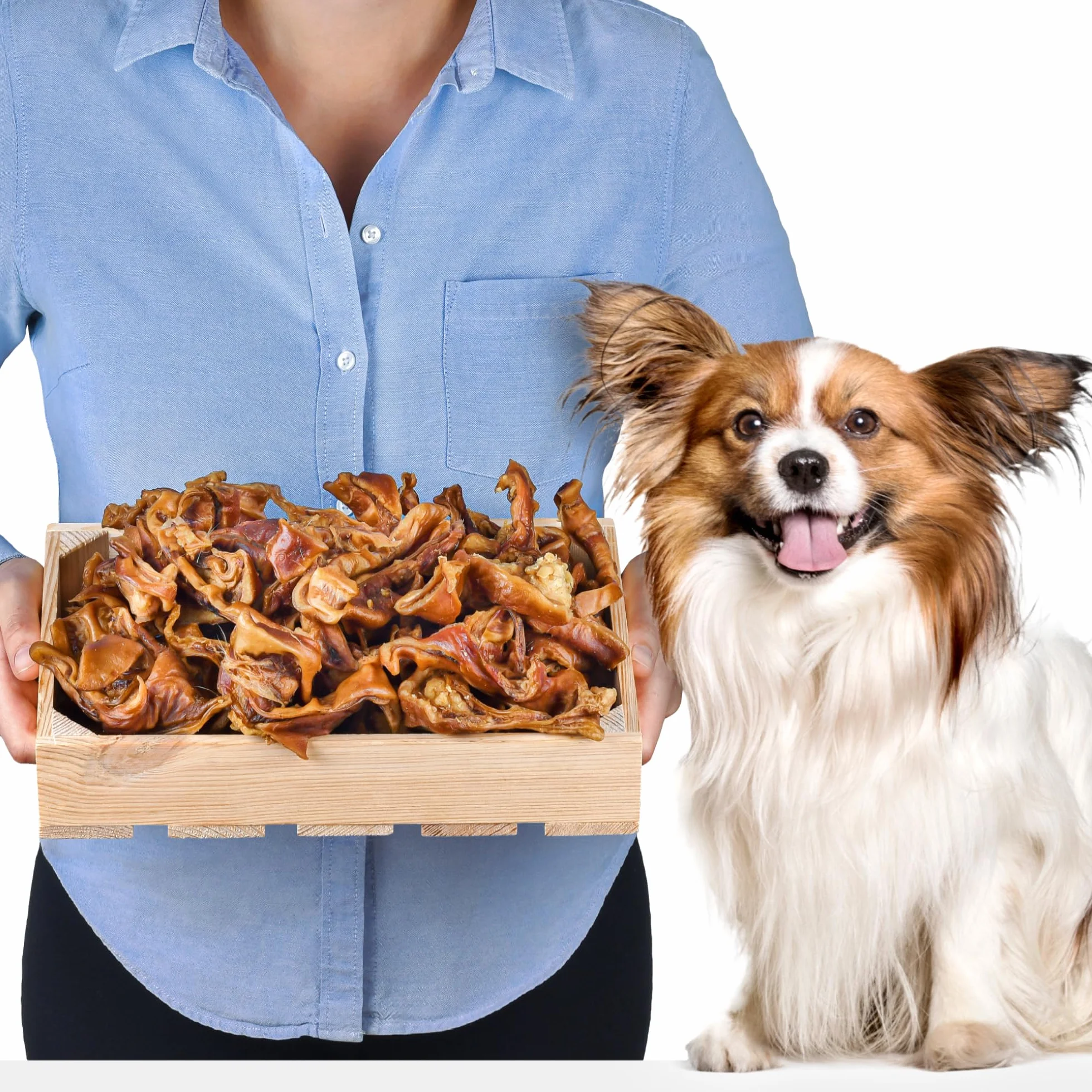 Strips d’Oreilles de Porc pour Chiens 1kg (Environ 55–65 pièces) | Friandises Naturelles à mâcher | sans céréales ni additifs | Séchées à l’air | Riche en protéines