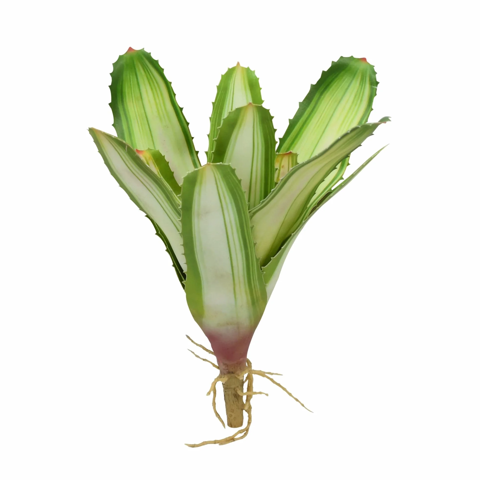 Lucky Reptile Scape it Easy Neoregelia Bromélia, plante décorative pour terrarium Blanc env. 20 cm