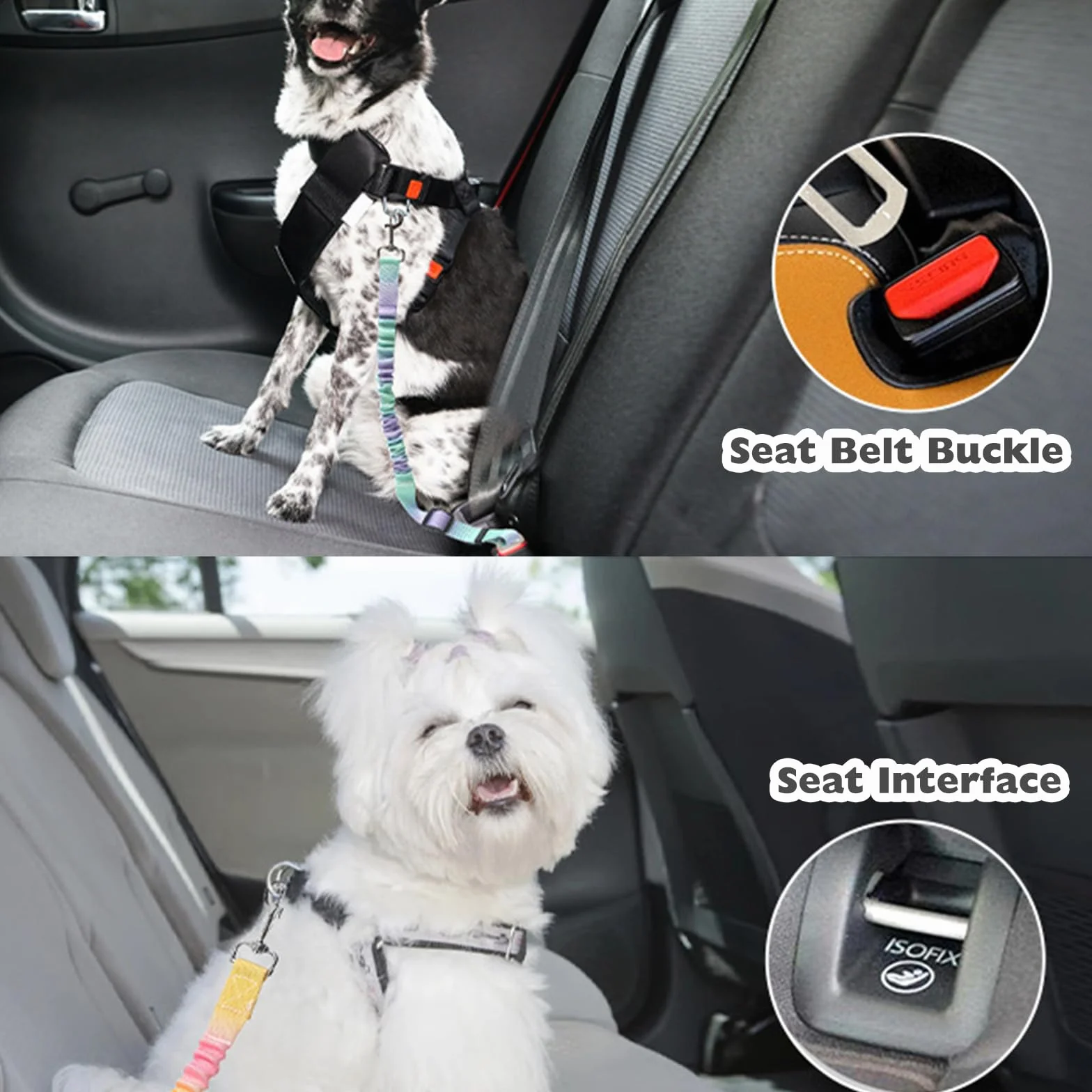 2 Pièces Ceinture Chien Voiture, Réglable Ceinture Securite Chien Voiture, Élastique Attache Chiens Voitures, Couleur Dégradée Laisse Voitures pour Chiens