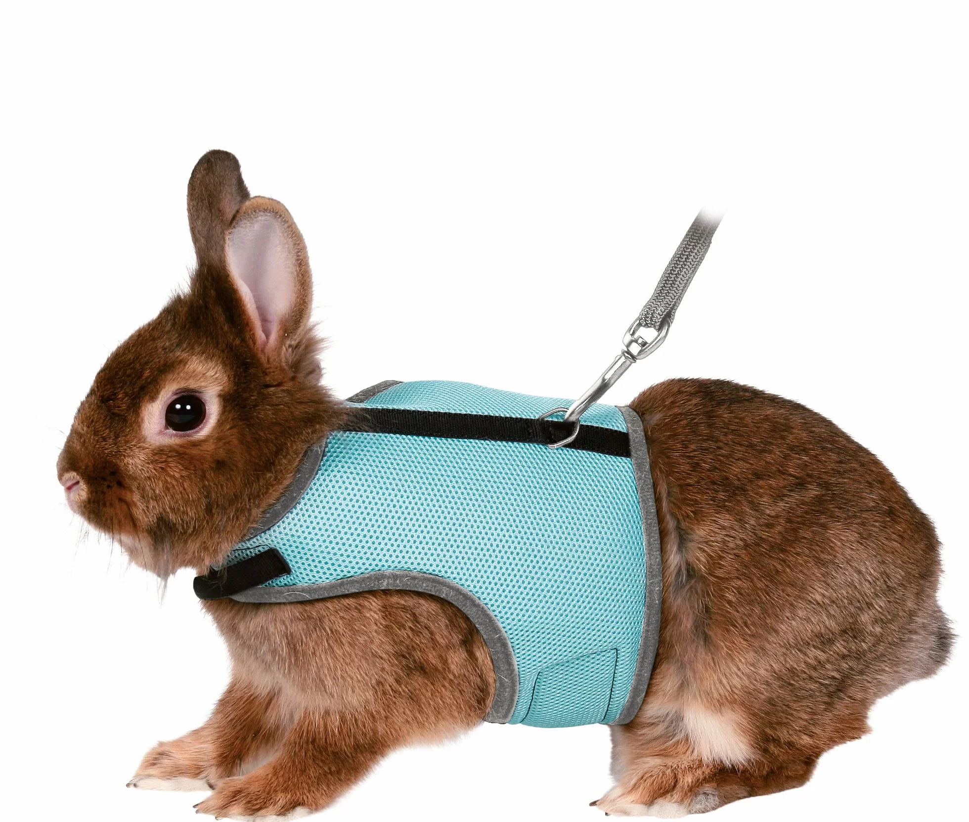 Trixie Harnais avec Laisse pour Lapins Nylon 25-32 cm 120 m- (Couleur Aléatoires)