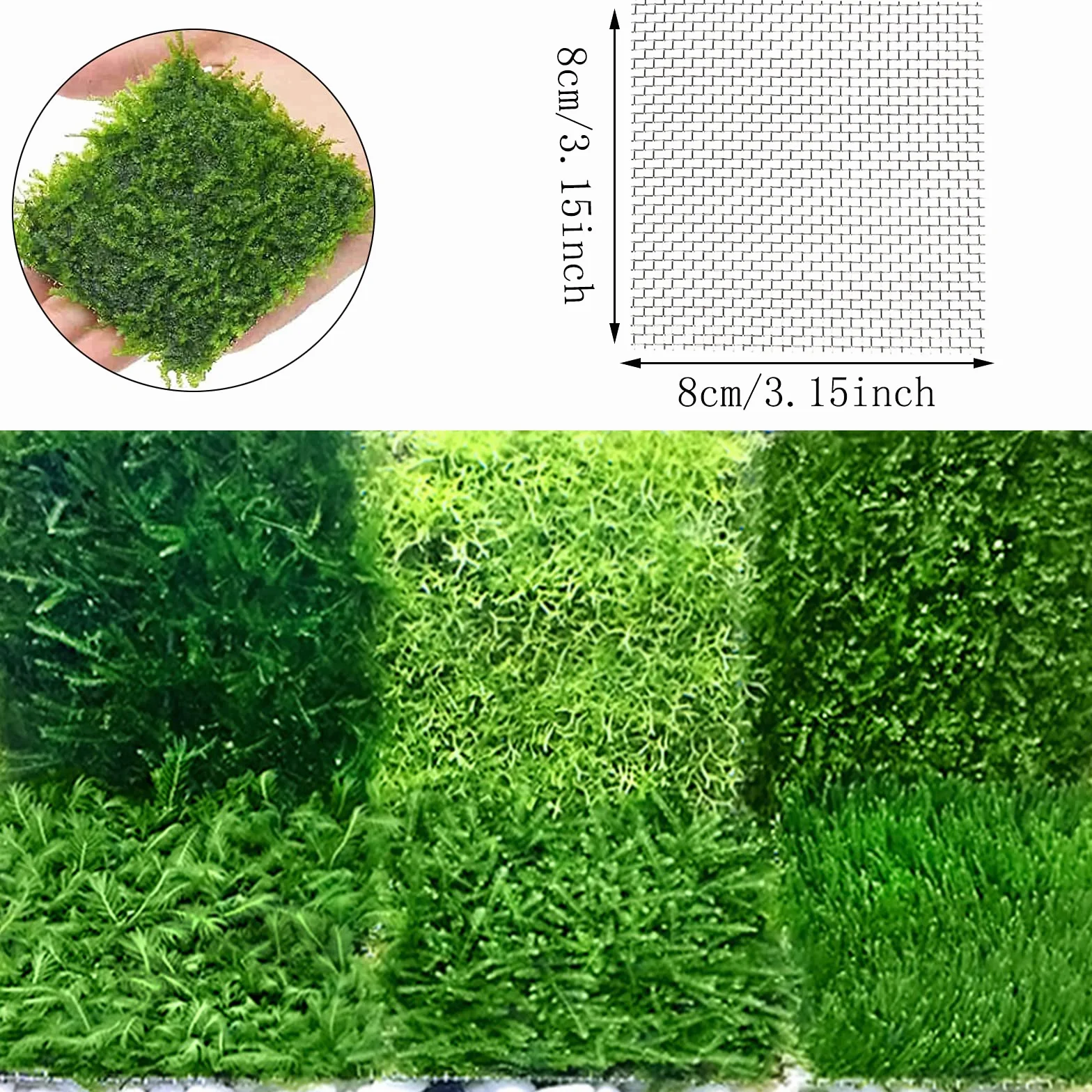 Mousse Plante Aquatique Décoration 14 Pièces 8x8 cm Grillage Fin Acier Inoxydable Maille Fine Aquarium