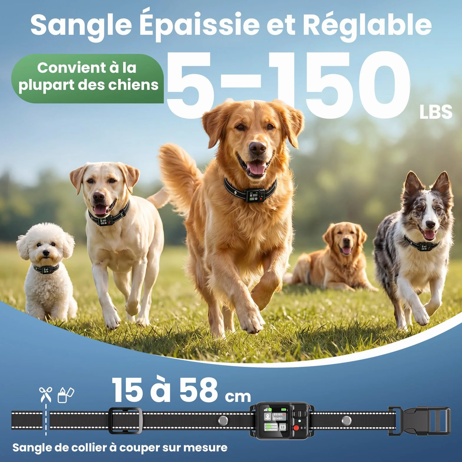 Collier Anti Fugue Chien sans Fil GPS avec Écran Couleur, Clôture GPS Intelligente Haute Précision, Réglable 30-999M, IPX7 Étanche