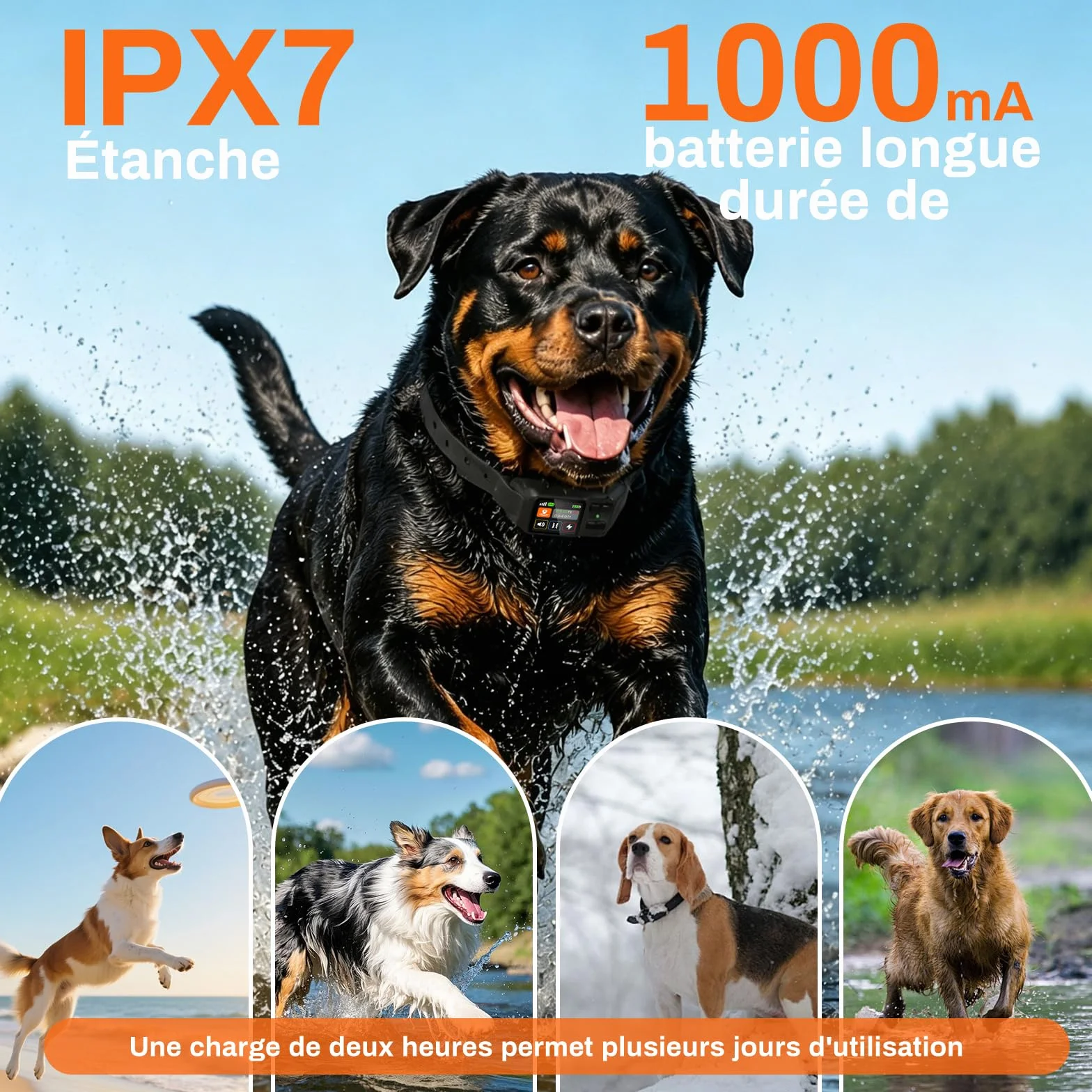 Clôture Électrique sans Fil pour Chien, Collier Anti-Fugue GPS Localisation Précise, 3 Modes Bip/Vibration/Choc, IPX7 Étanche