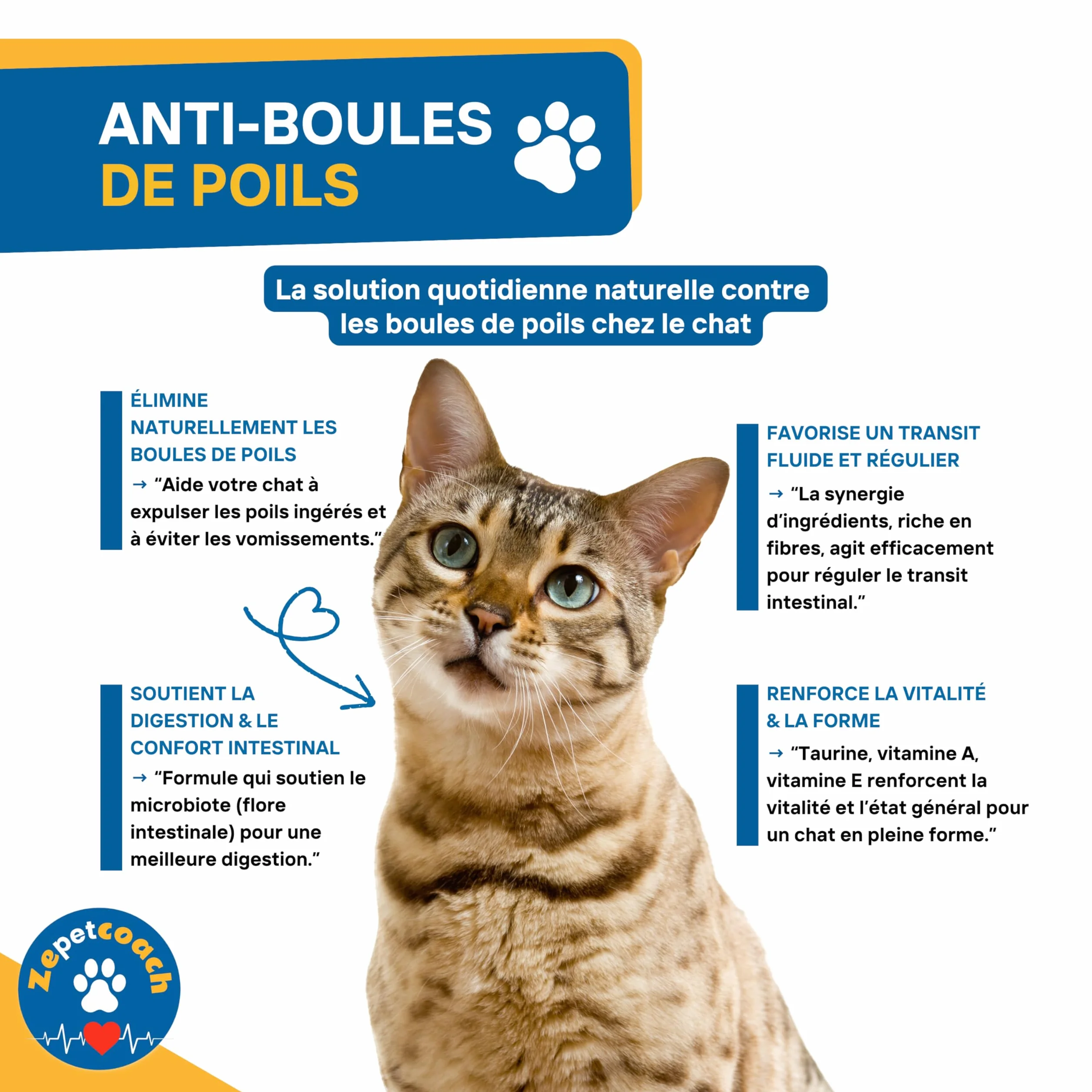 Complément Chat Anti Boules de Poils Psyllium Taurine Chicorée Naturel Saveur Volaille 250g