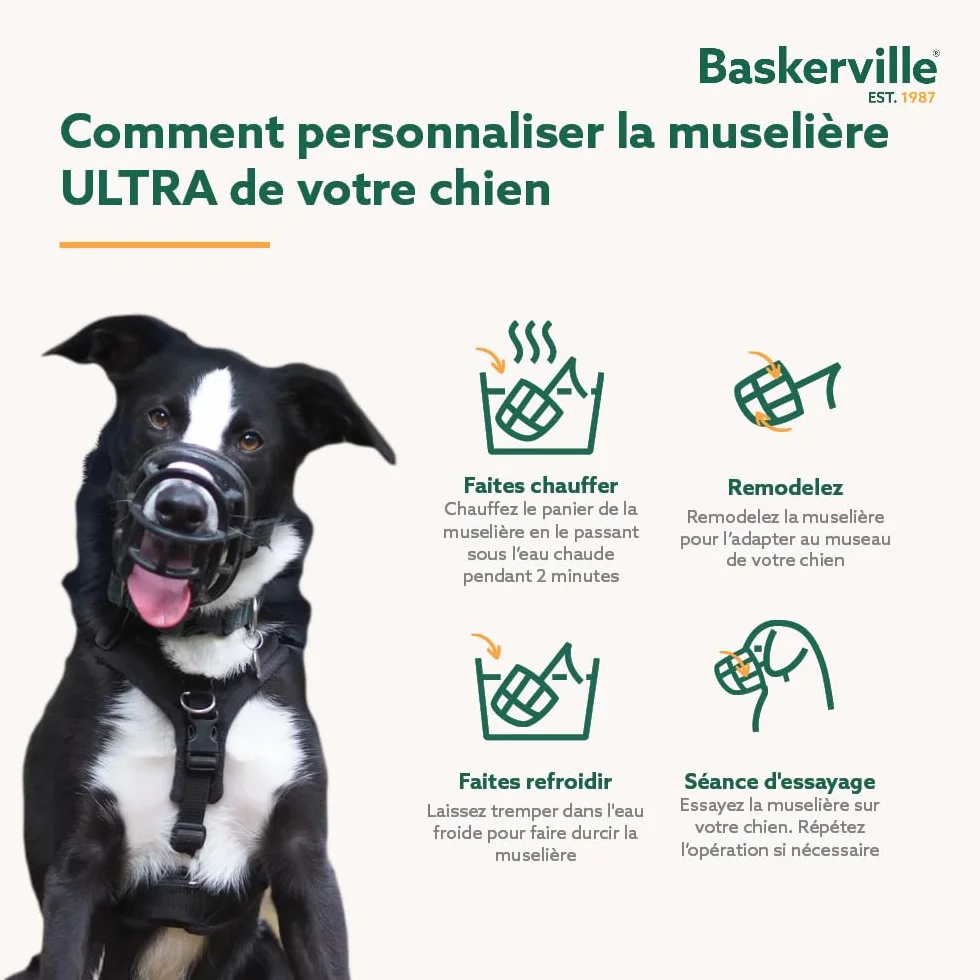 THE COMPANY OF ANIMA Baskerville Ultra Muselière pour Chien Noir 5 Retriever