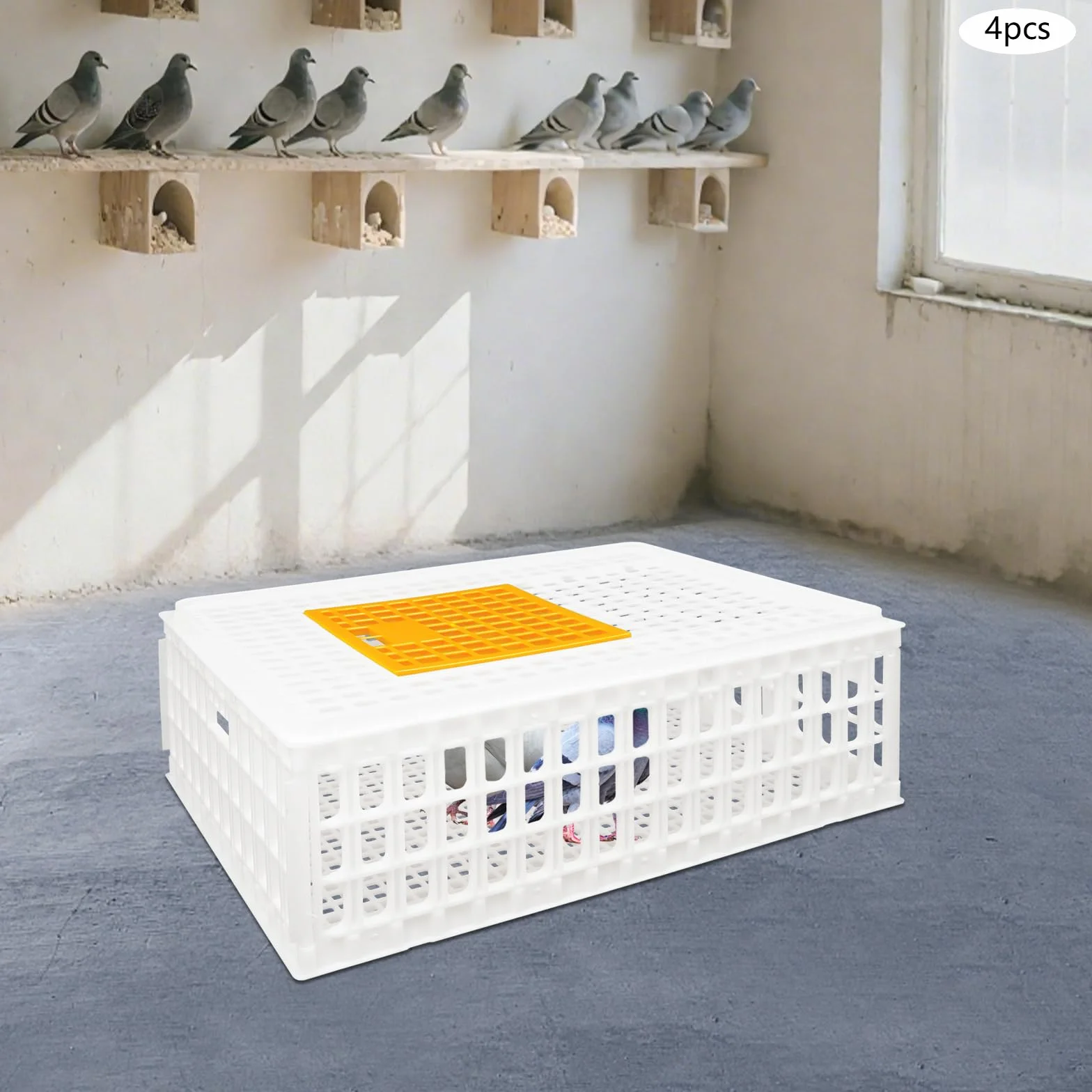 Lot de 4 caisses de transport pour volaille 77 x 55,5 x 27 cm - Capacité de charge 200 kg - Extra robuste