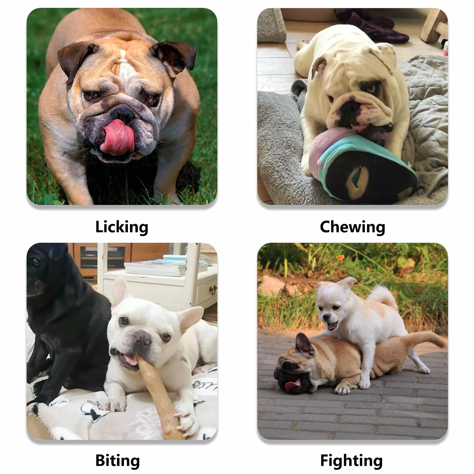 Muselière pour Chien Bouledogue français, muselière pour Chien à museau Court, Maille Respirante Ajustable, Anti Morsure, Mastication, aboiement(M,Noir)
