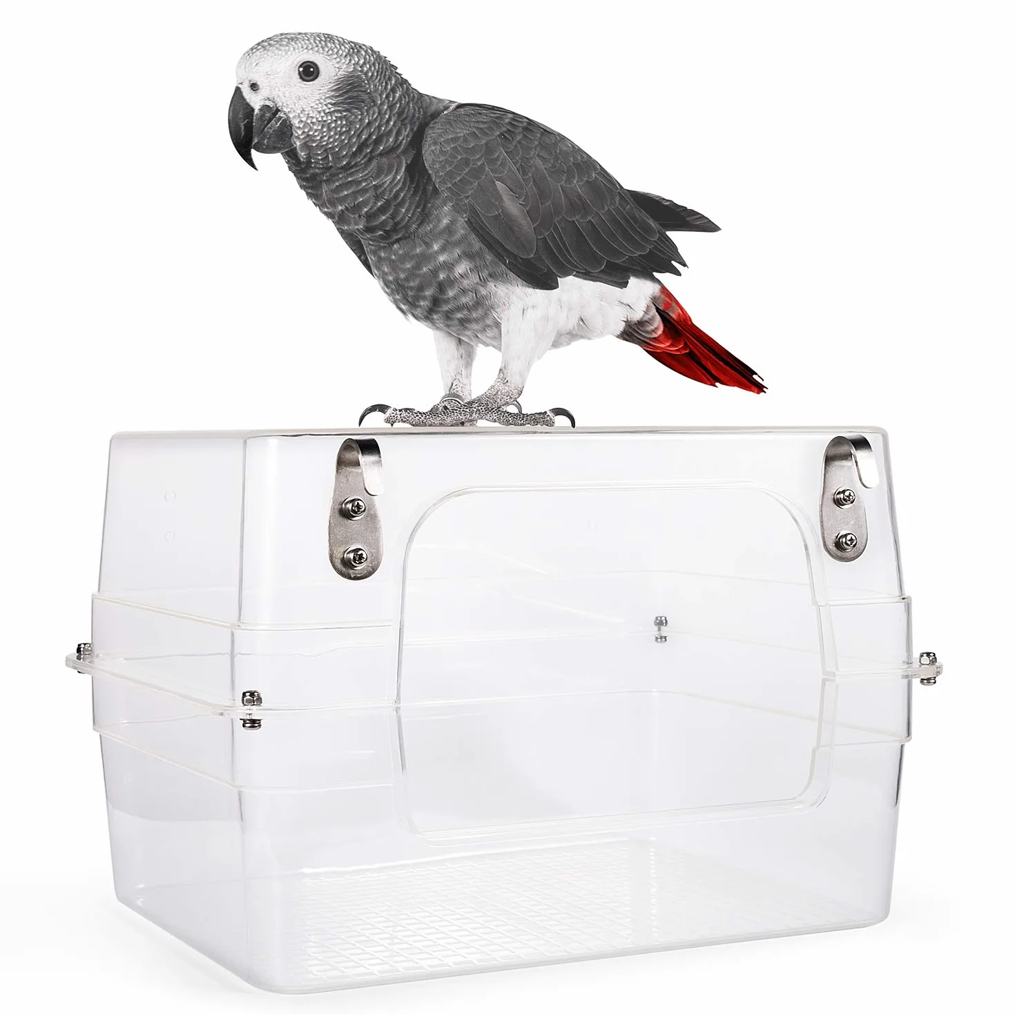 Colorday Grand Bain d'oiseau 33x28x20 cm pour Perruches Conures Amazones