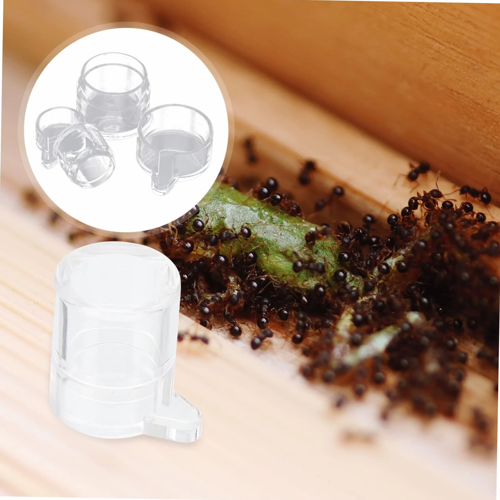 Gamelles à Eau pour Fourmis Acrylique Mangeoires Transparentes avec Port d'Alimentation Séparé